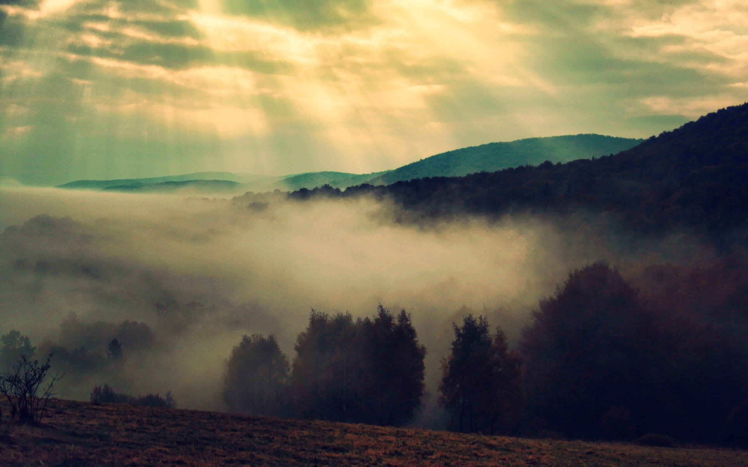 trees, 2K, bieszczady, nature, landscapes, mist, sunlight, fog, mountains, clouds, HD Wallpaper