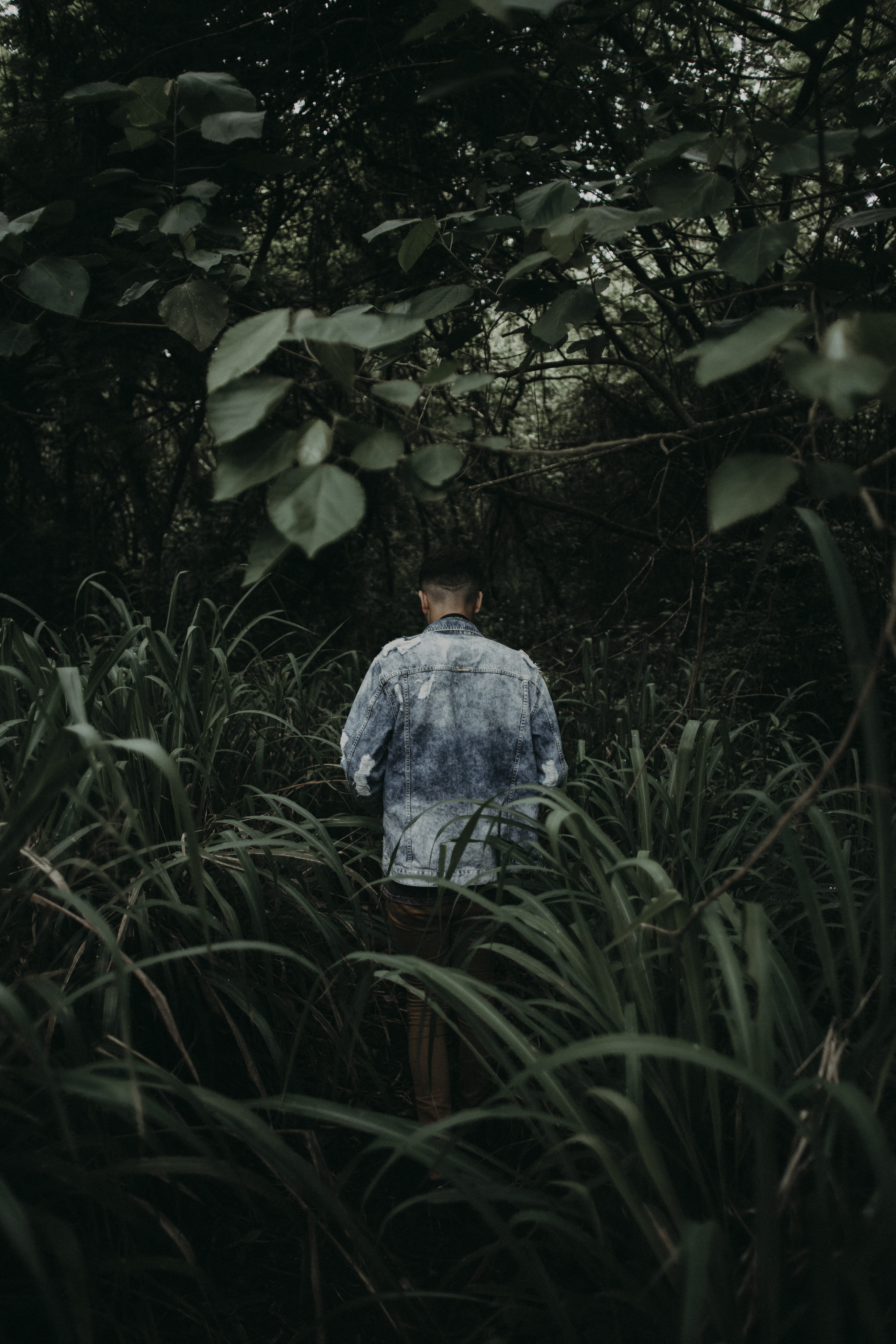 day, land, faceless, outdoors, three quarter length, man, hide, field, leaves, forest, real people, lifestyles, denim wear, hide away, foliage, nature, Phone HD Wallpaper