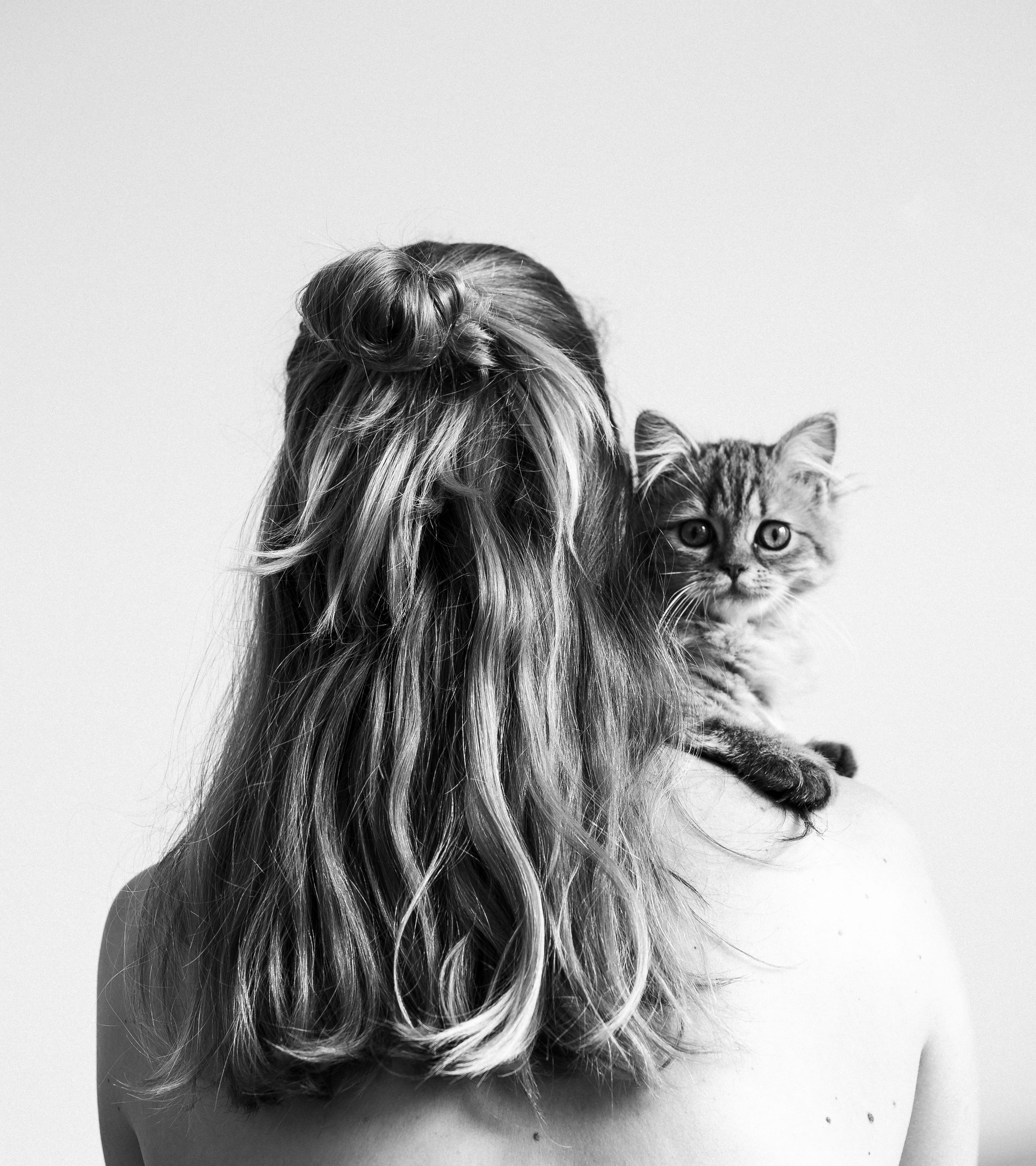 animal, selfie, zwolle, eye contact, indoors, hair, vertebrate, human, kitten, face, domestic animals, faceless, long hair, photo, female, headshot, domestic cat, Phone HD Wallpaper