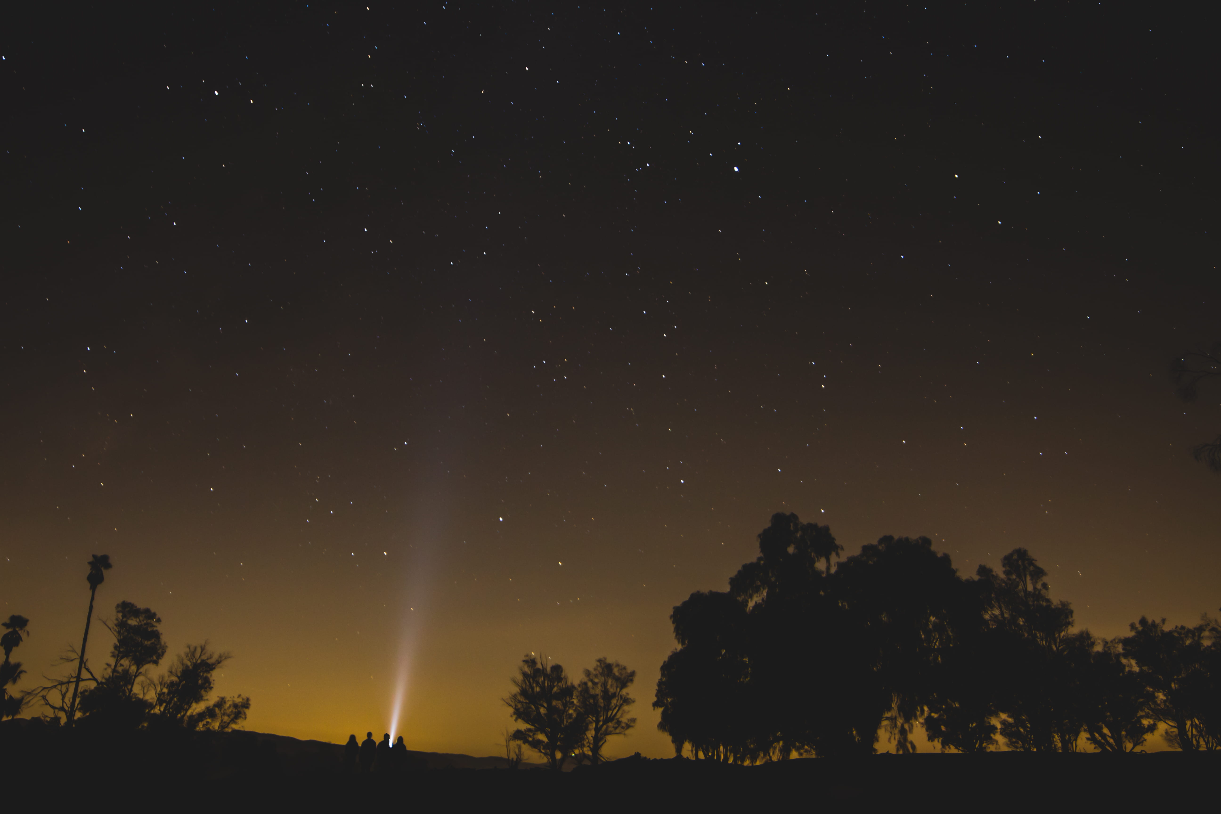 silhouette, outdoors, astronomy, scenics - nature, star - Space, star, people, tree, dusk, scenics, near, tranquility, four, constellation, star field, HD Wallpaper