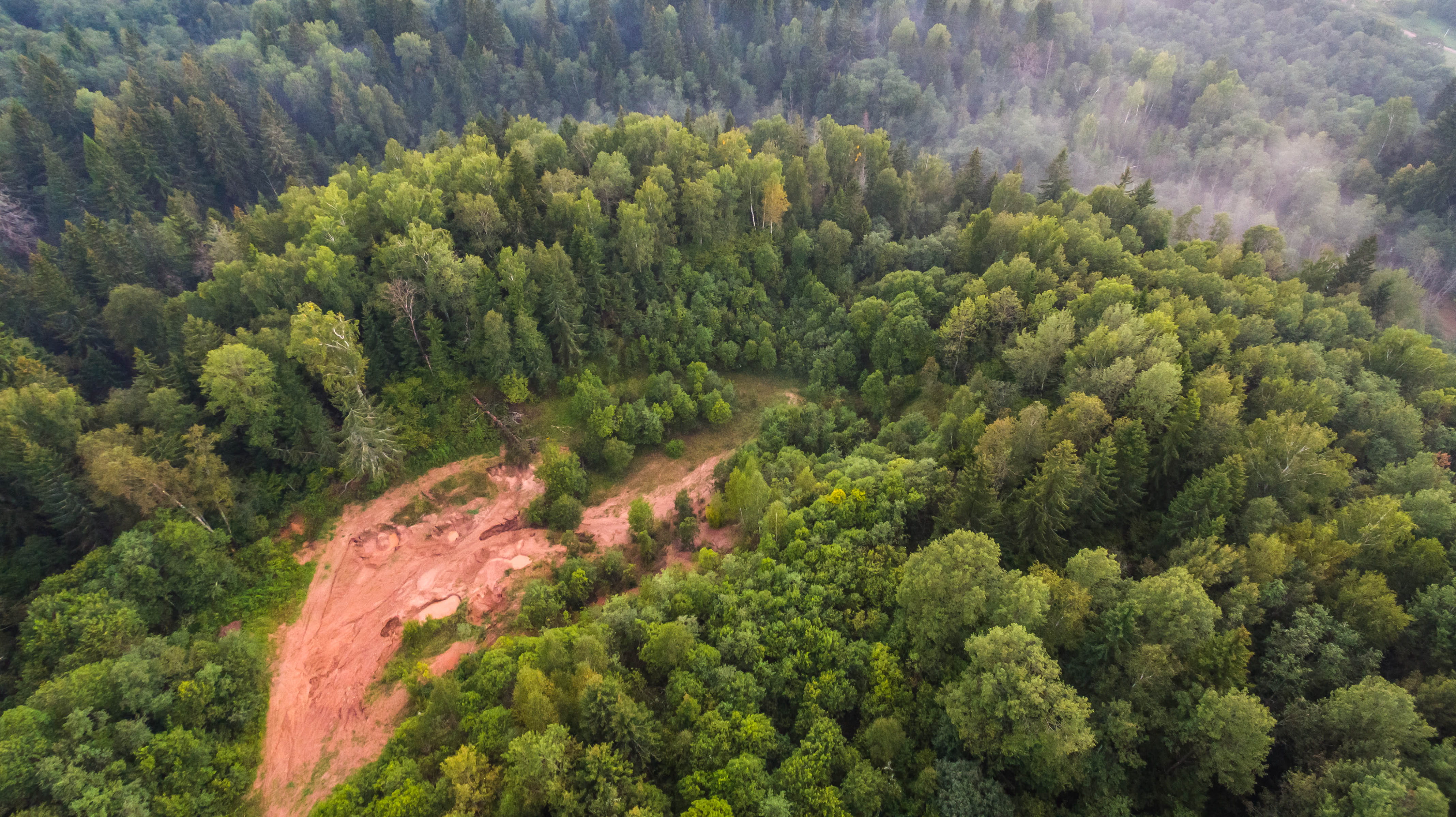 plant, tranquil scene, high angle view, green, land, birds eye view, environment, tranquility, view, outdoor, hill, day, woodland, bird, erosion, trees, HD Wallpaper