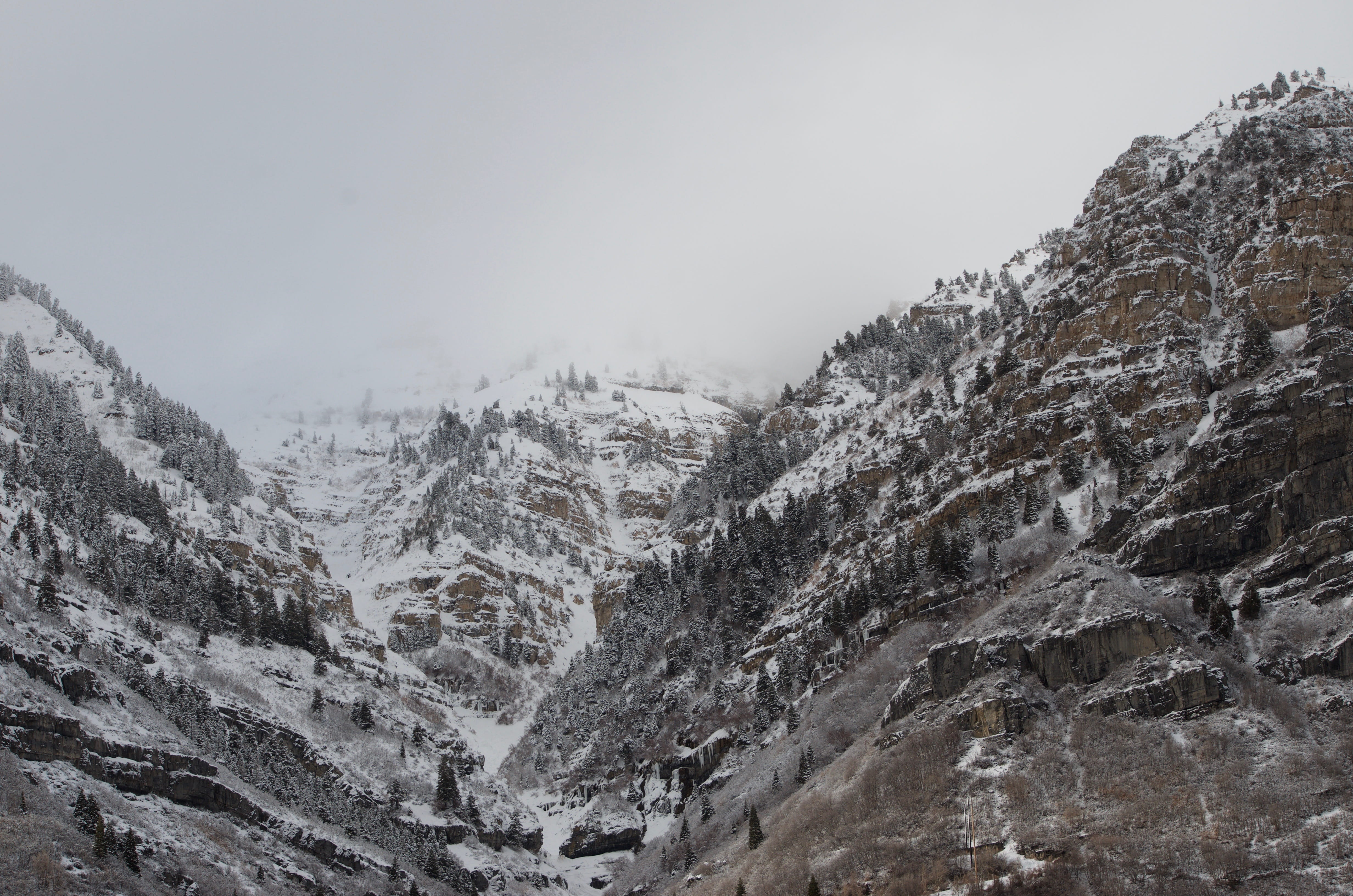 photography, outdoors, snow, fir, glacier, cold temperature, landscape, formation, environment, view, beauty in nature, tranquility, snowcapped mountain, HD Wallpaper