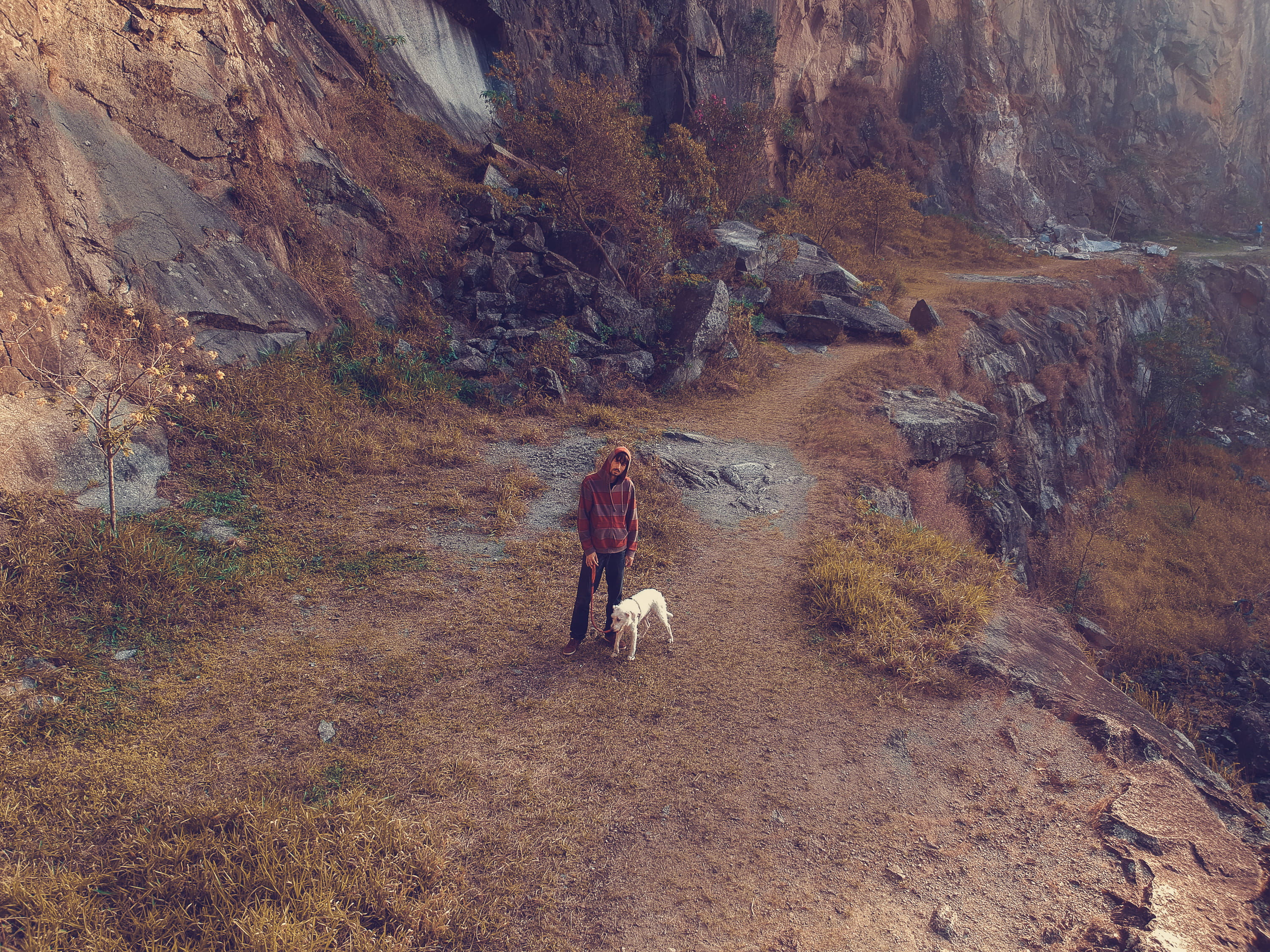 dog, mountain, casual clothing, real people, valley, hiking, path, person, walking, non-urban scene, cliff, canyon, landslide, full length, mining, day, HD Wallpaper