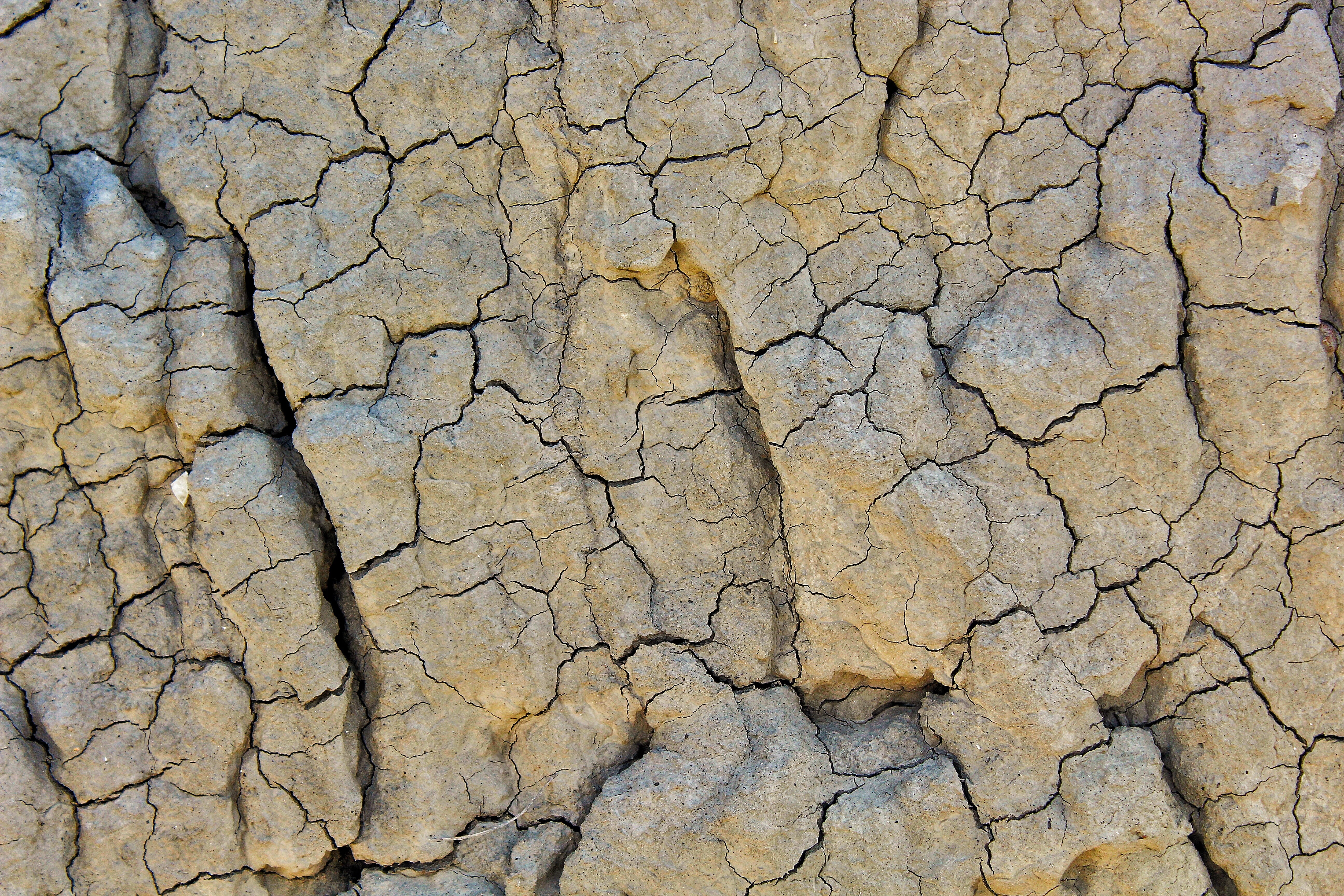 no people, barren, scenics - nature, color, drought, Rock, Sassi, fossils, land, full frame, mountain, background, natural pattern, day, mud, rough, backgrounds, HD Wallpaper