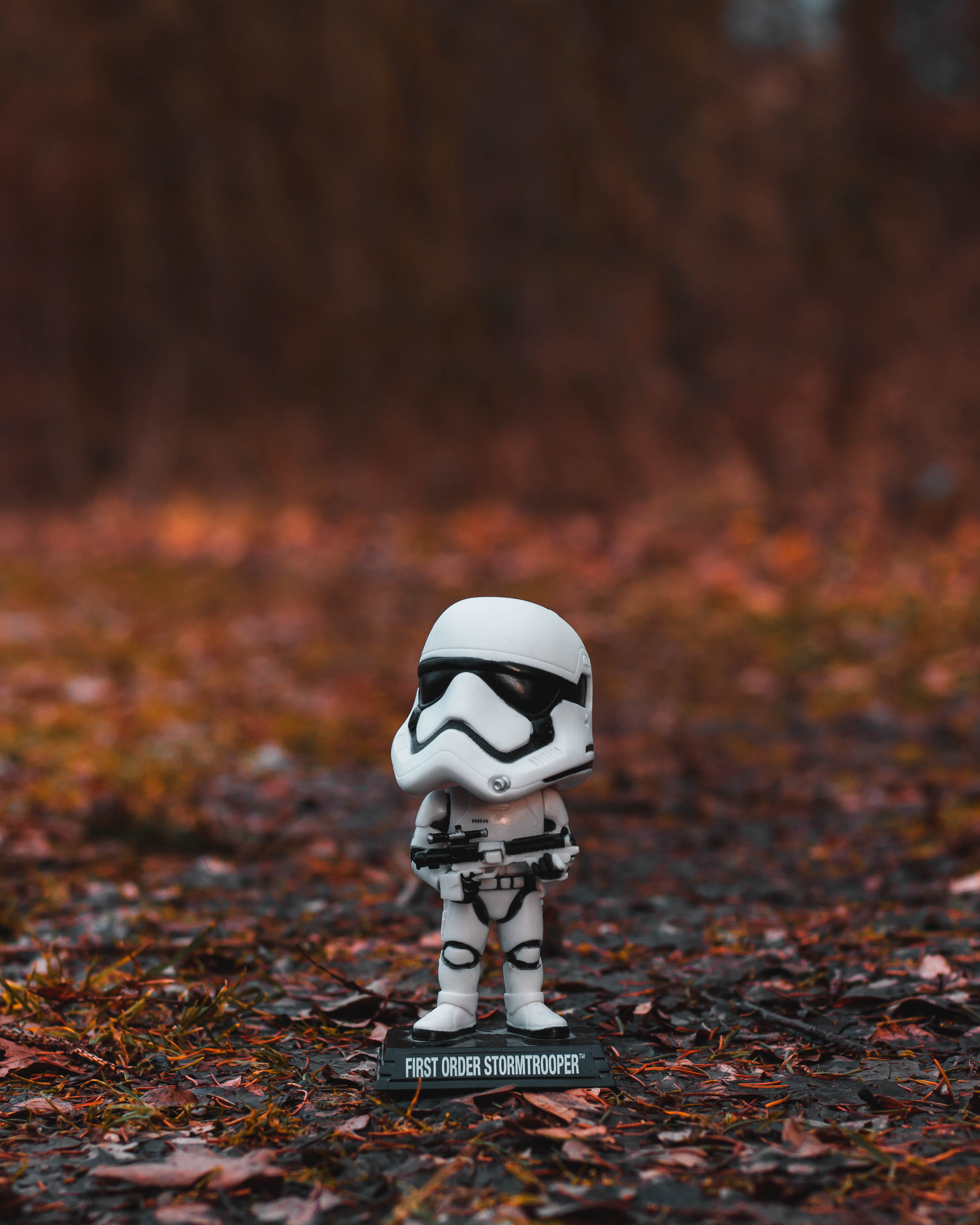 selective focus, actionfigure, gravel, outdoors, movies, ground, road, trooper, fight, change, land, soil, focus on foreground, skeleton, bone, toy, nature, Phone HD Wallpaper