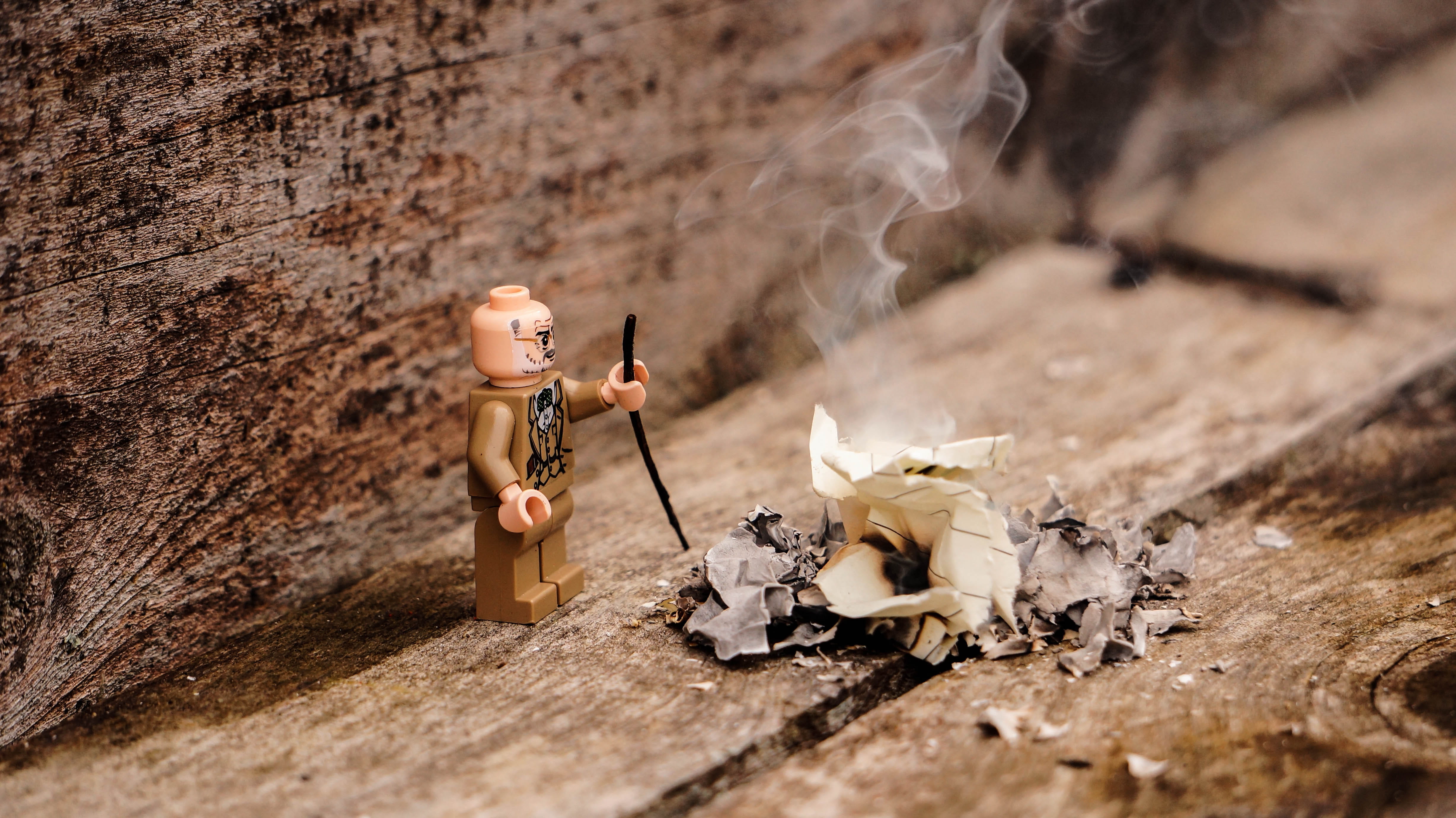 burn, 4K, burning, small, macro, ground, smoke, clothing, toy, fire, animal wildlife, tree, nature, selective focus, close-up, minecraft, no people, animal, HD Wallpaper