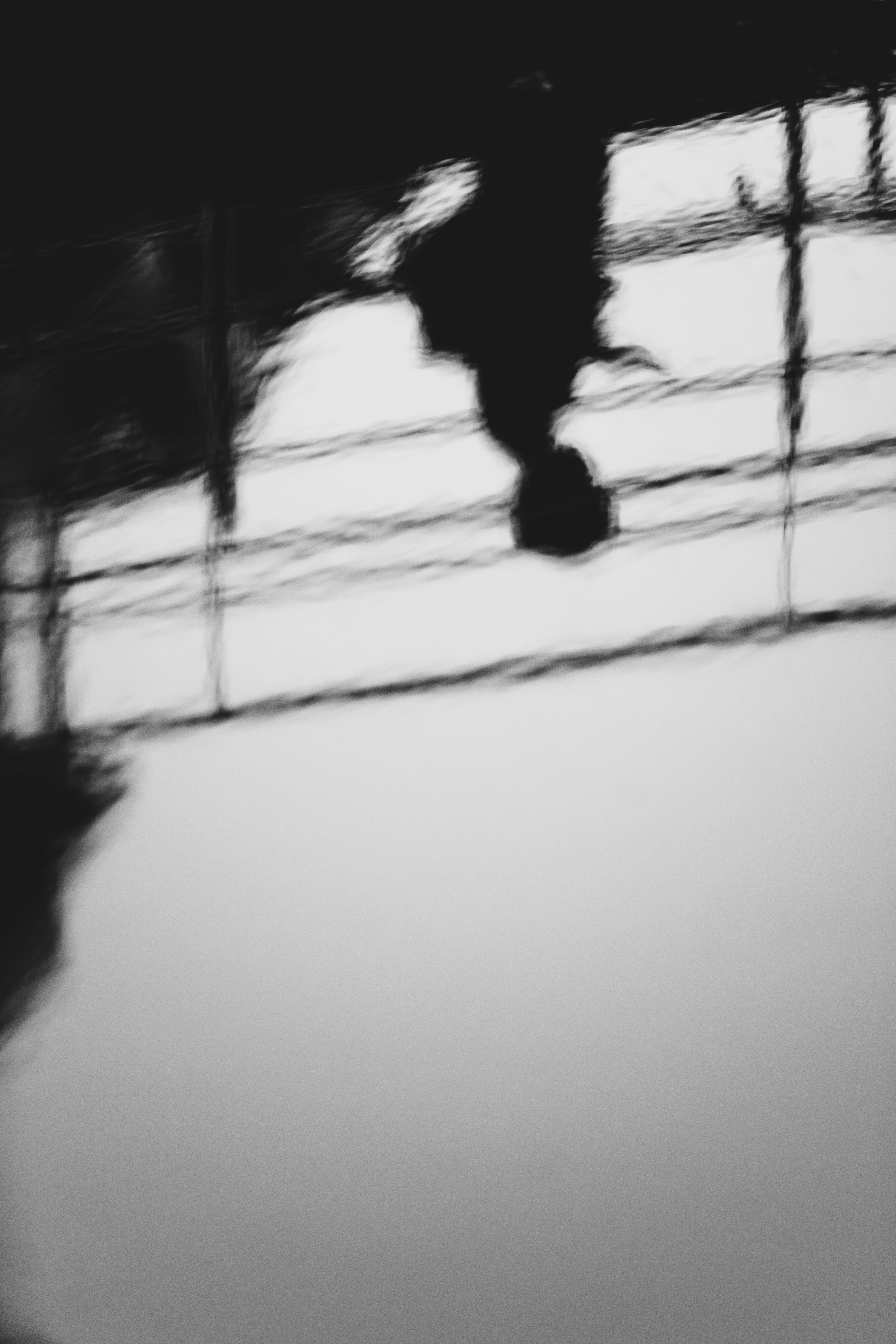 #white, animal, motion, #shadow, canon, dog, #river, selective focus, fd, street, real people, canine, day, on the move, mammal, architecture, pet, running, Phone HD Wallpaper
