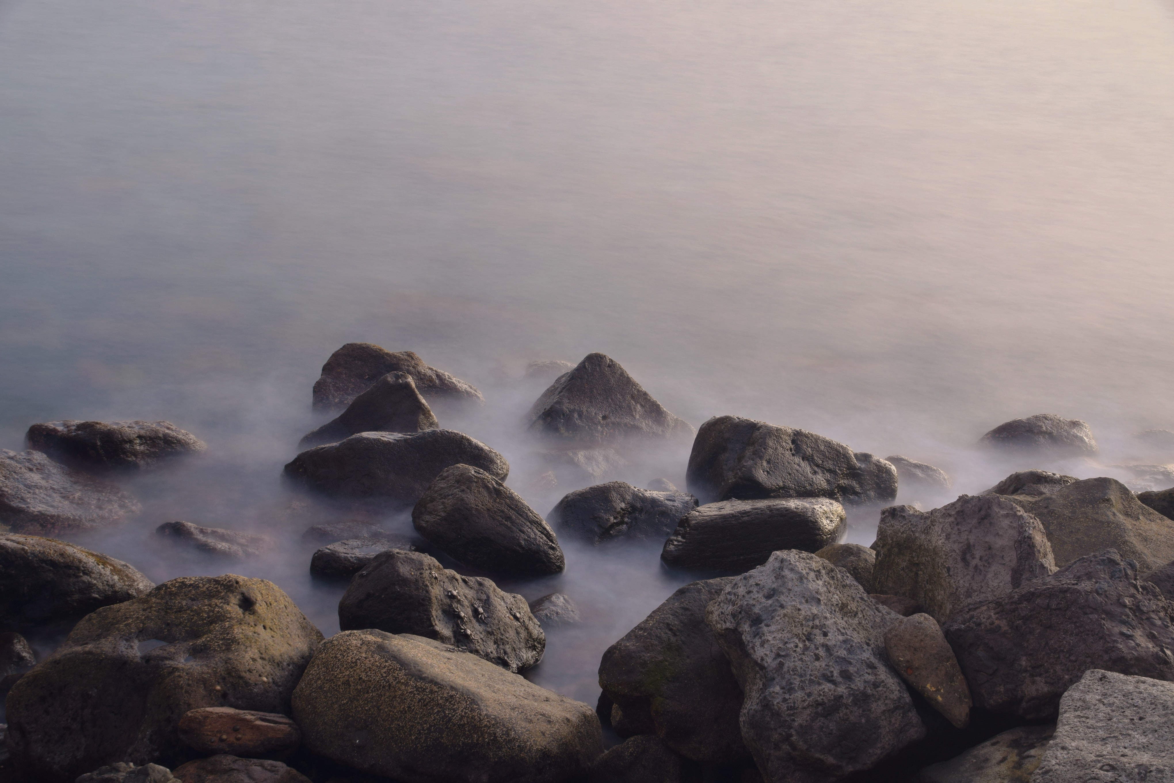 long exposure, photography, nature, beach, 4K, Spain, Nikon, vacation, Gran Canaria, animals, HD Wallpaper