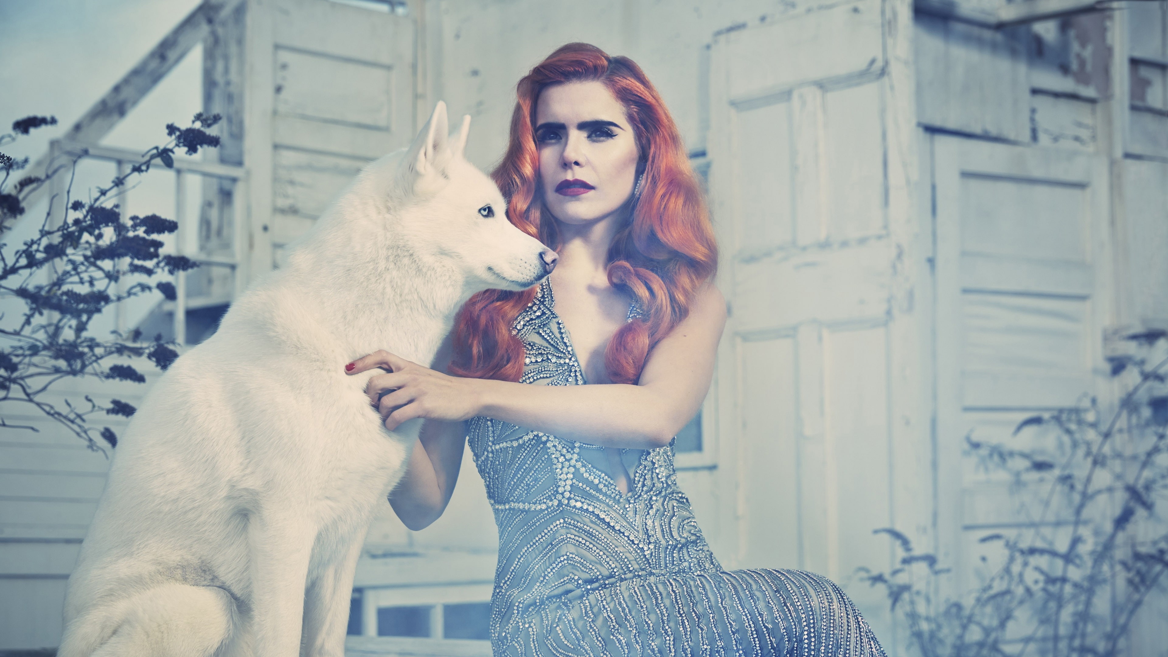 Paloma, Faith, 4K, HD Wallpaper