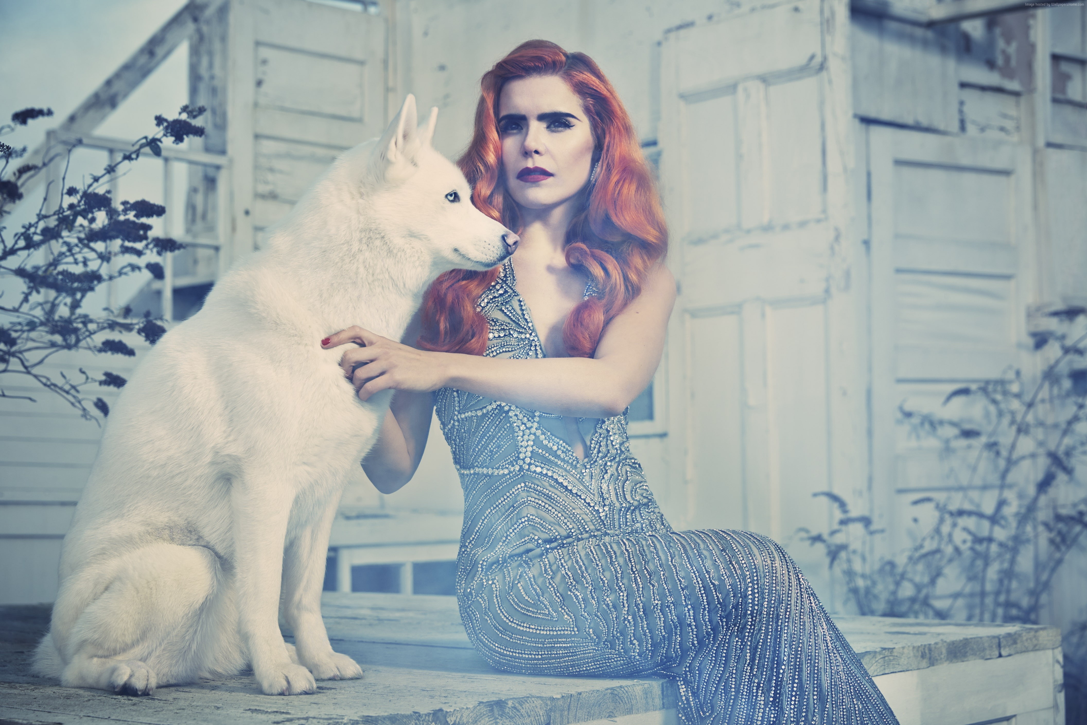 Paloma Faith, Most Popular Celebs in 2015, red hair, 4K, actress, dog, singer, HD Wallpaper