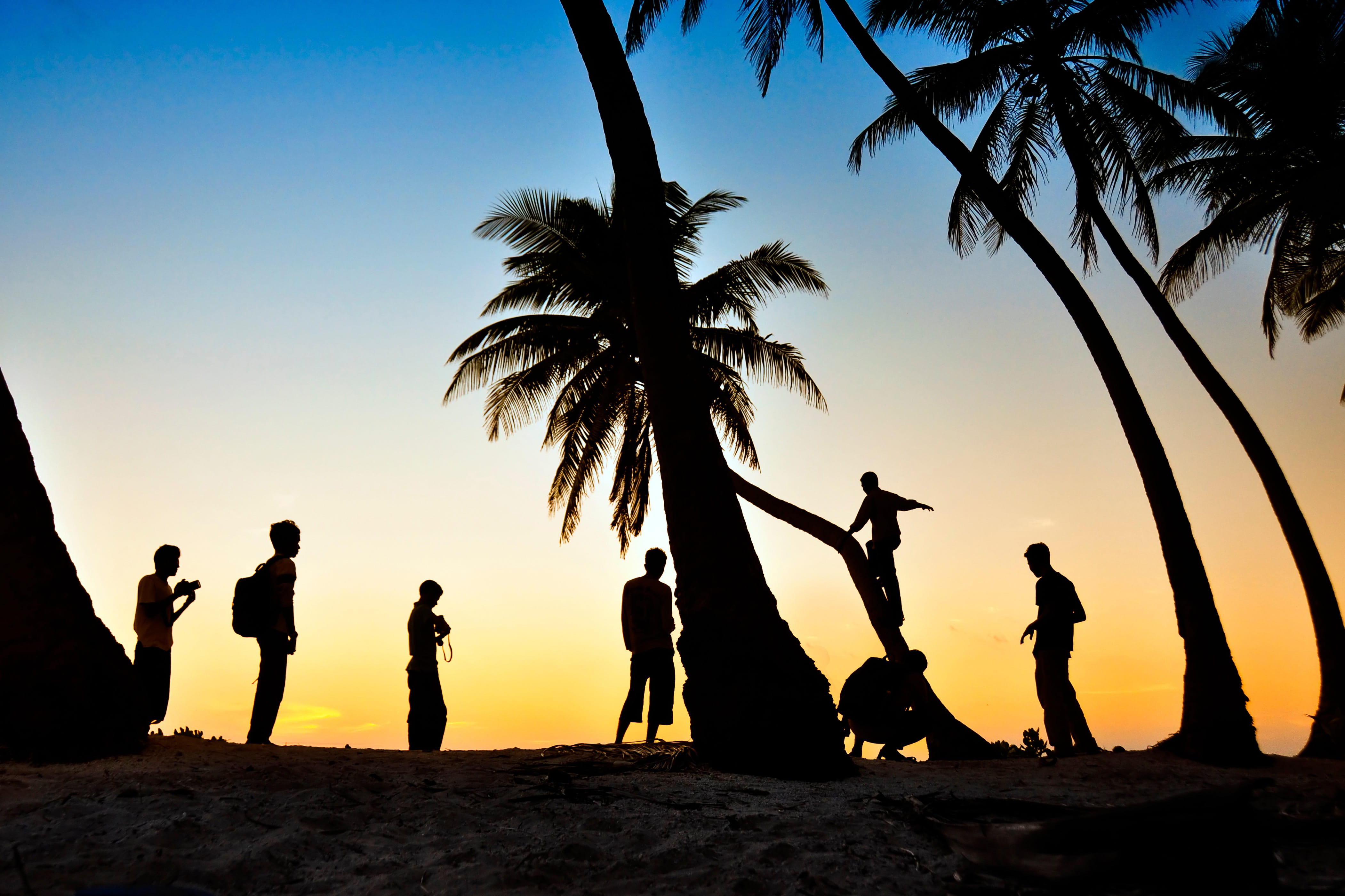 tree, orange color, nature, tropical climate, beach, real people, sun, palm-tree, People, silhouette, palm, holidays, sand, men, beauty in nature, plant, HD Wallpaper