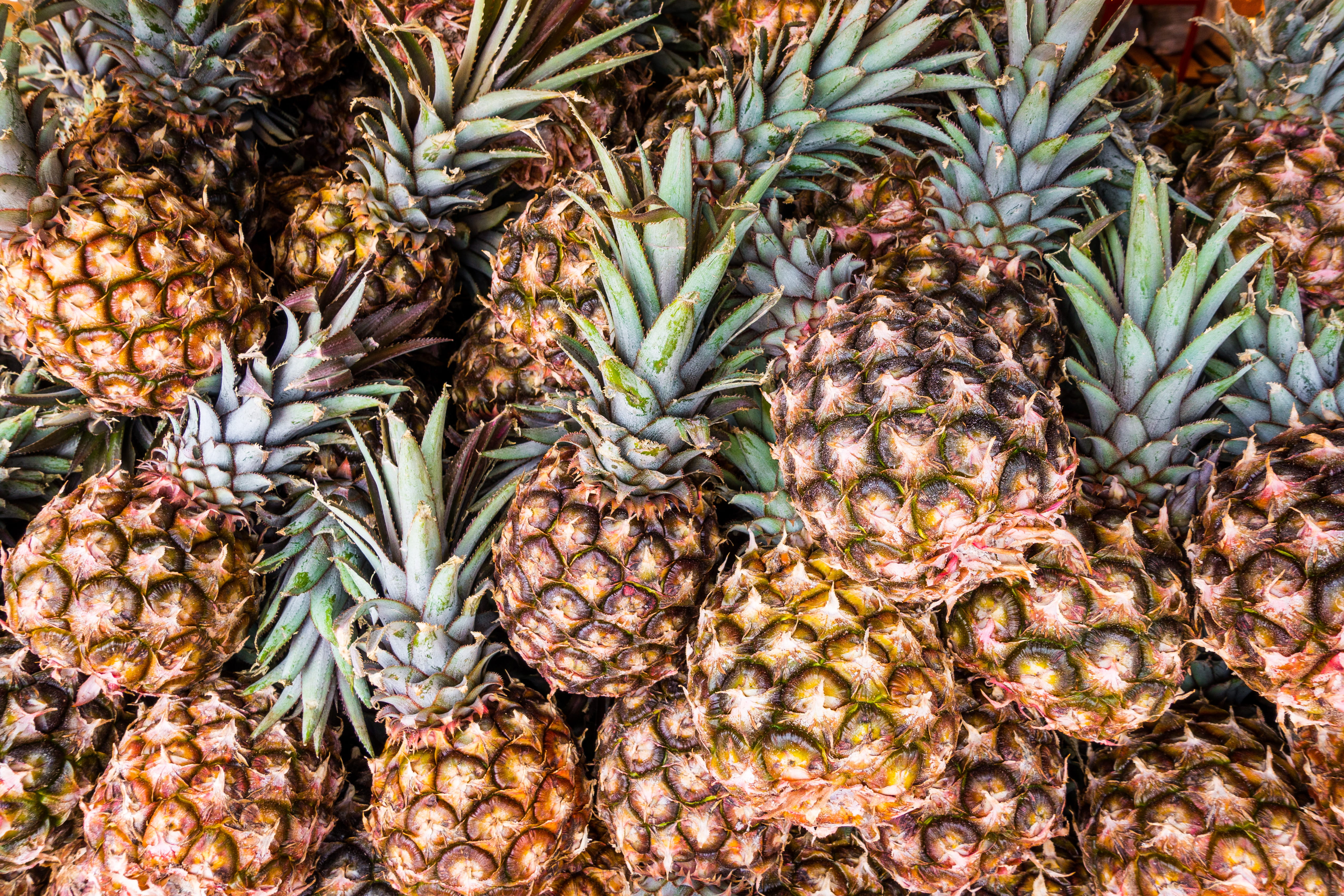 tropical fruit, summer, still life, fresh, backgrounds, full frame, cuba, food, market, for sale, abundance, 4K, large group of objects, close-up, fruit, HD Wallpaper