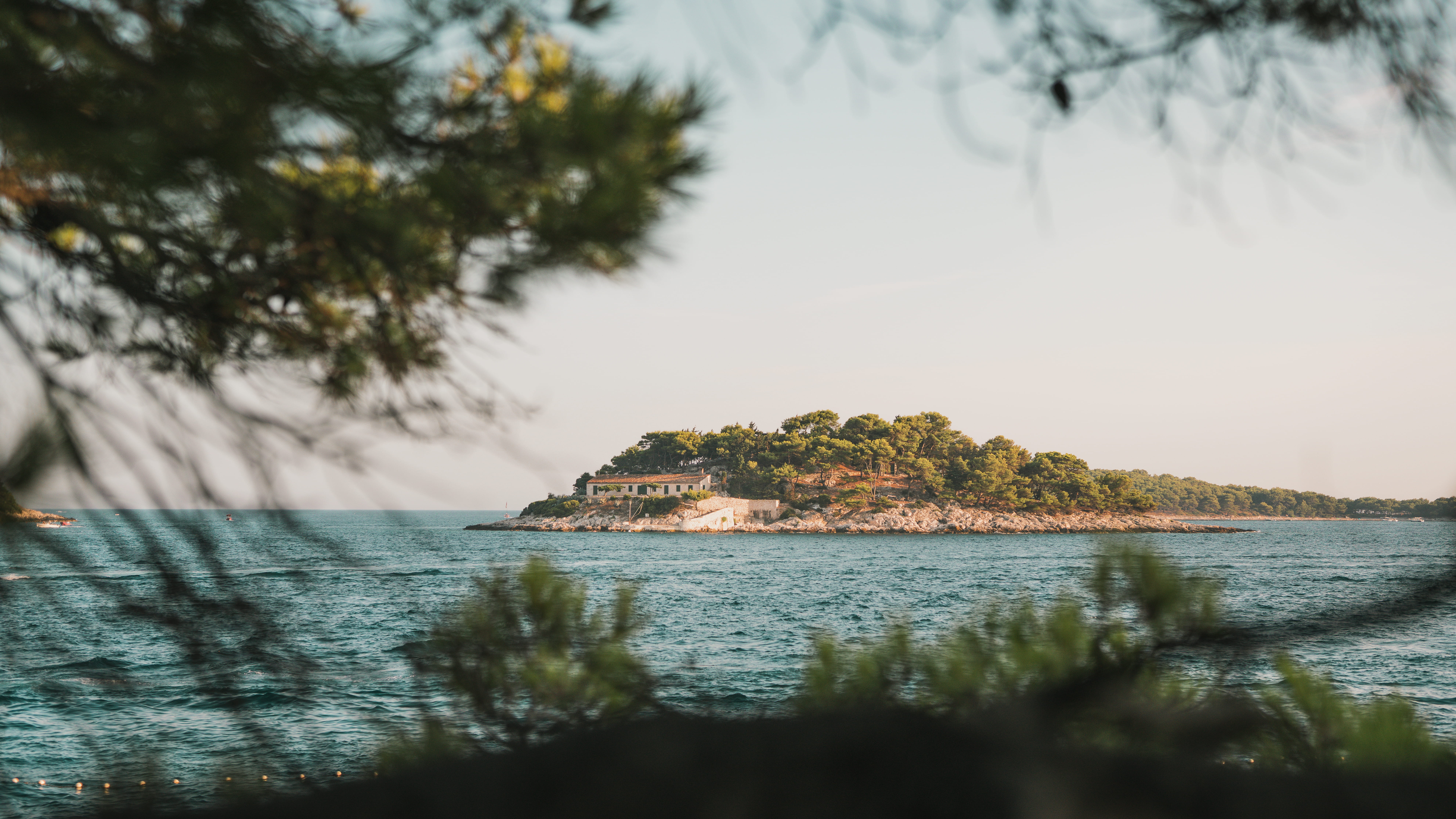 sky, hvar, growth, green, mediterranean, plant, modern, 8K, forest, summervibes, beauty in nature, croatia, idyllic, no people, gališnik, tranquil scene, HD Wallpaper