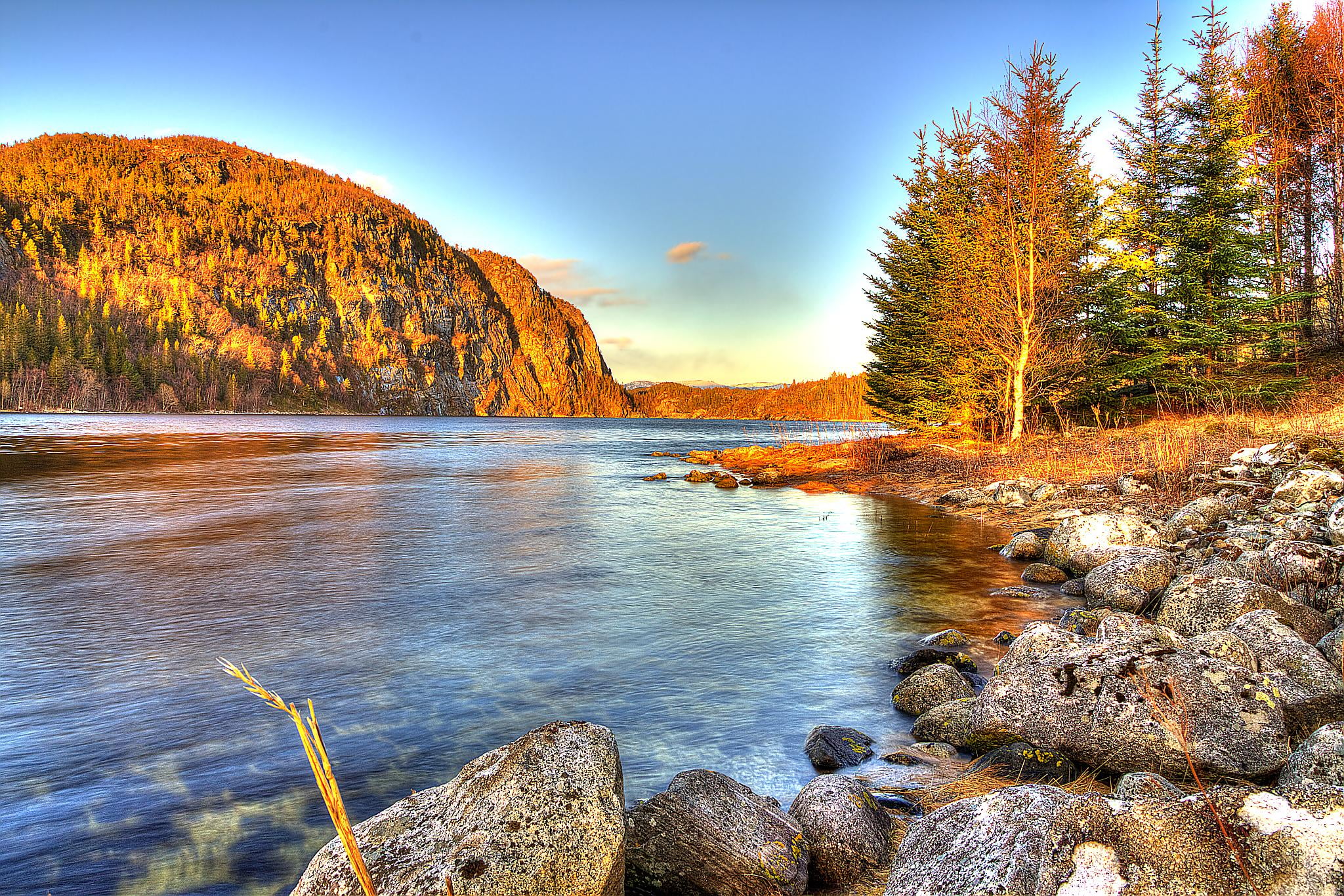 Water  Forest, Summer Vibes, Spring, blue sky, rock - Object, scenics, forest, Canon, HDR, Northern, Nature, 1080P, tree, Trees, daytime, autumn, water, HD Wallpaper