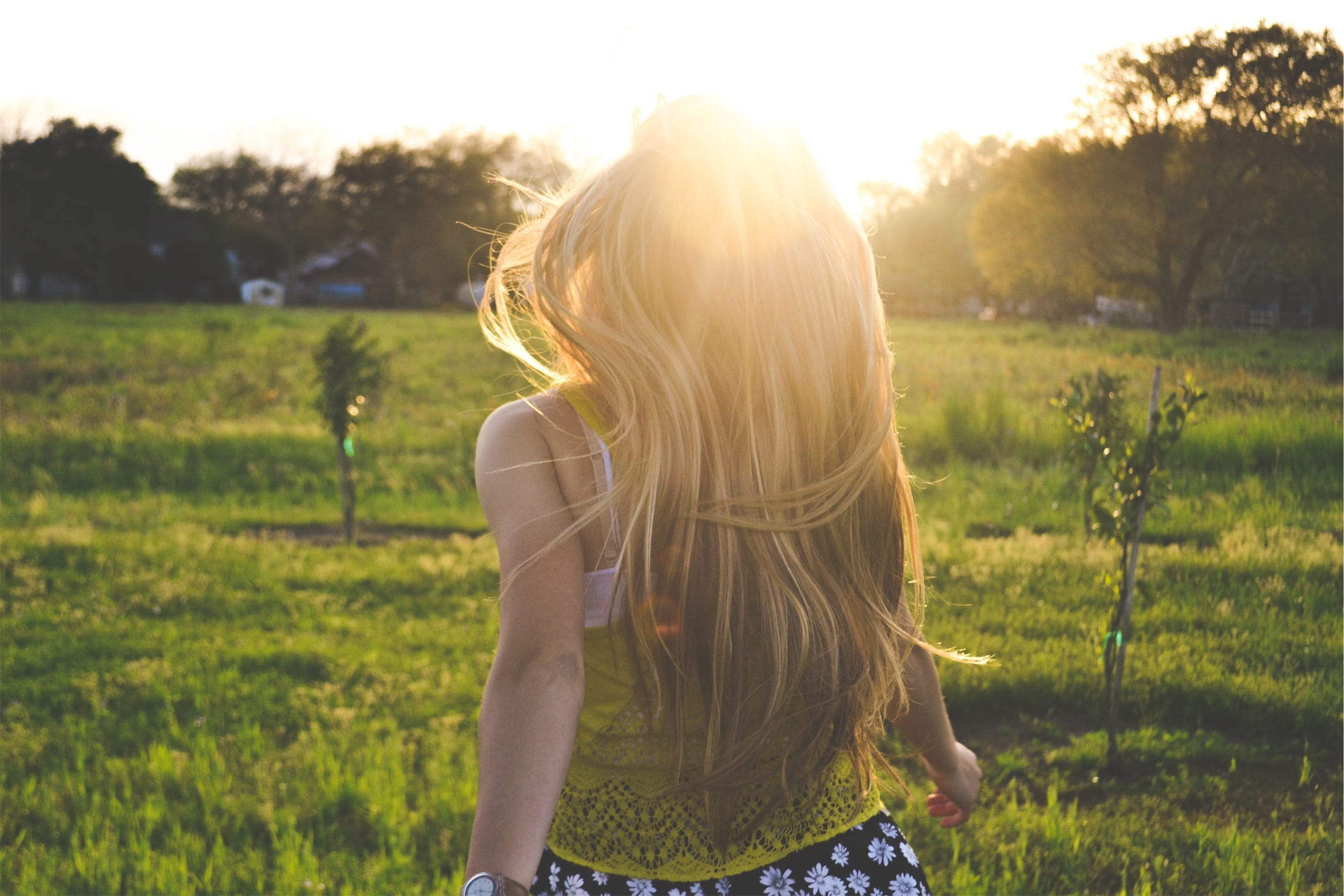 sunshine, grass, blond hair, human hair, contemplation, nature, day, summer, women, hair, happy, sunlight, 1080P, fields, rear view, girl, walking, bright, HD Wallpaper
