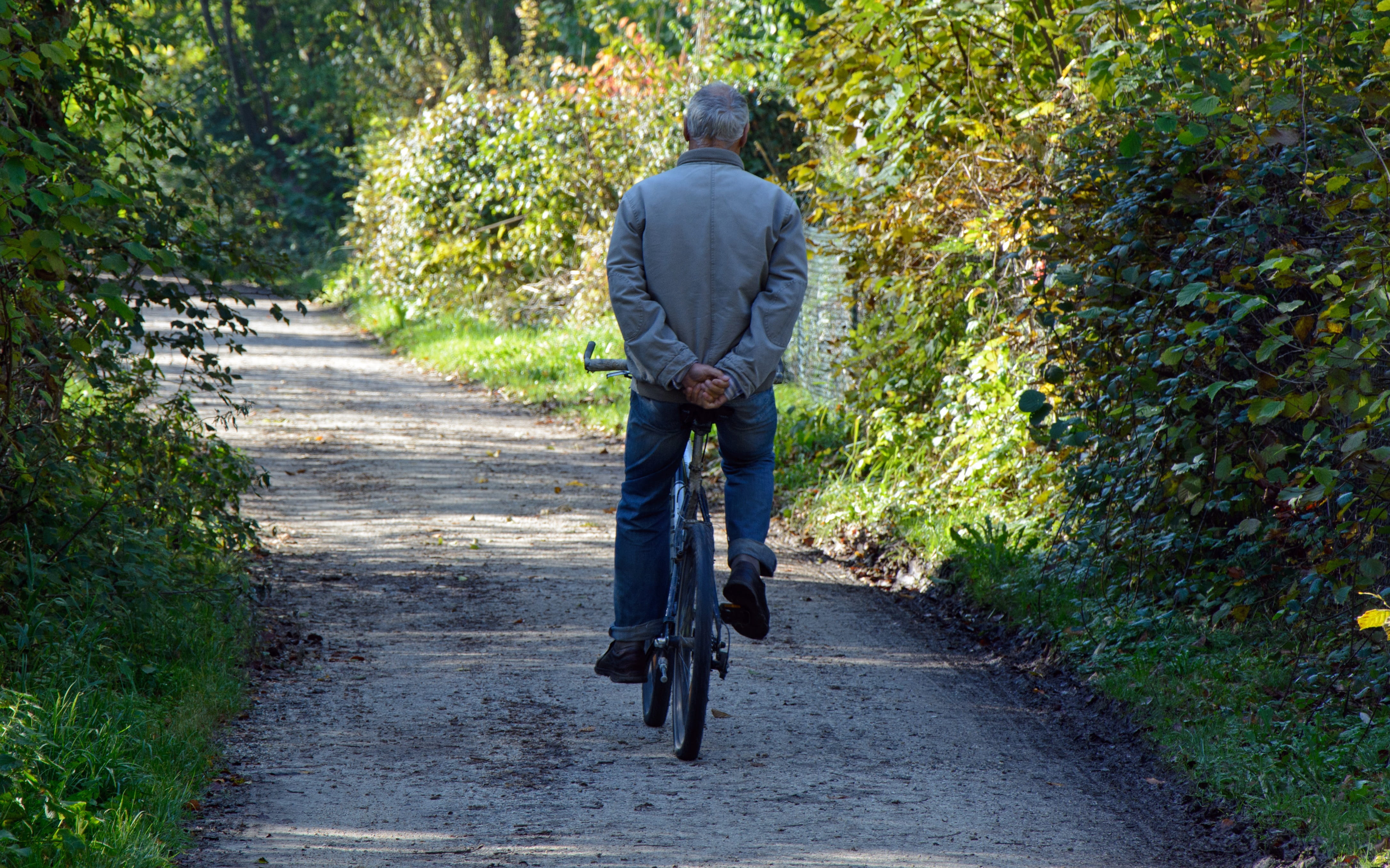 direction, casual clothing, transportation, without, handle, one man only, bike, bicycle, riding, rear view, ride, adult, the way forward, only men, activity, HD Wallpaper