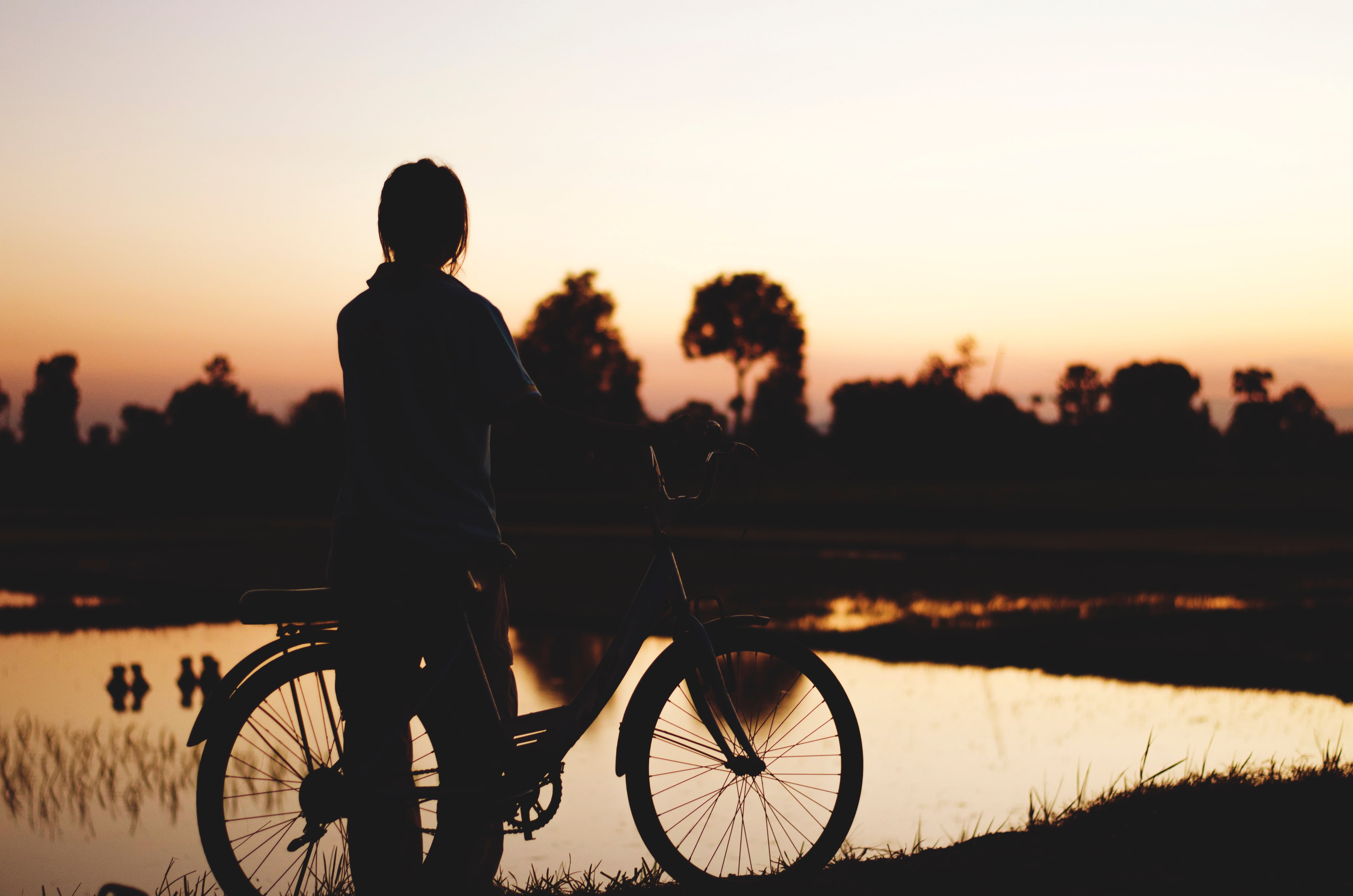 outdoor, real people, sport, land vehicle, orange color, transportation, travel, cycling, adults only, leisure activity, plant, lifestyles, men, dark, mode of transport, HD Wallpaper