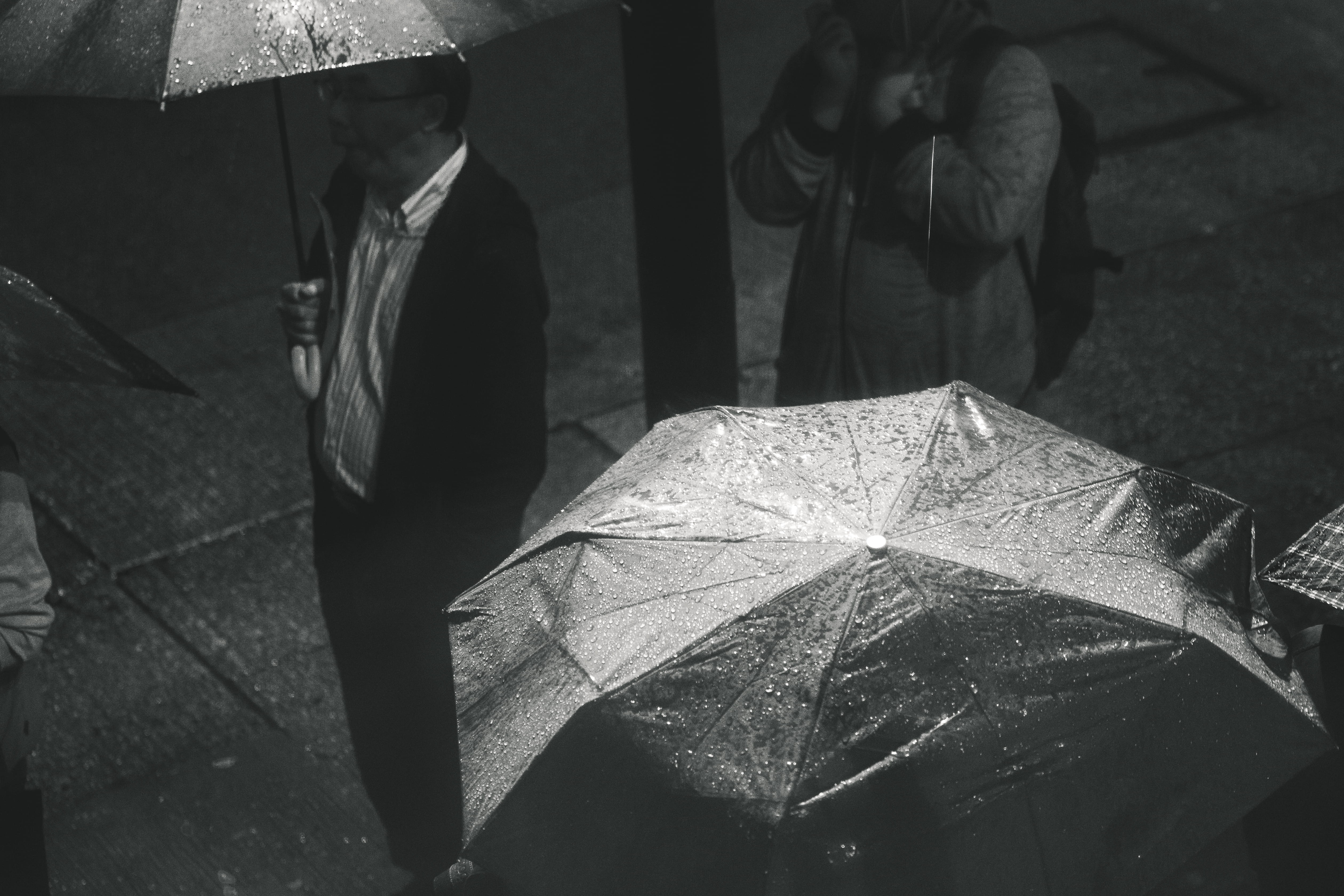 black and white, wear, high angle view, umbrella, man, safety, city, outdoors, leaf, photo, 4K, holding, protection, men, low section, portrait, street, HD Wallpaper