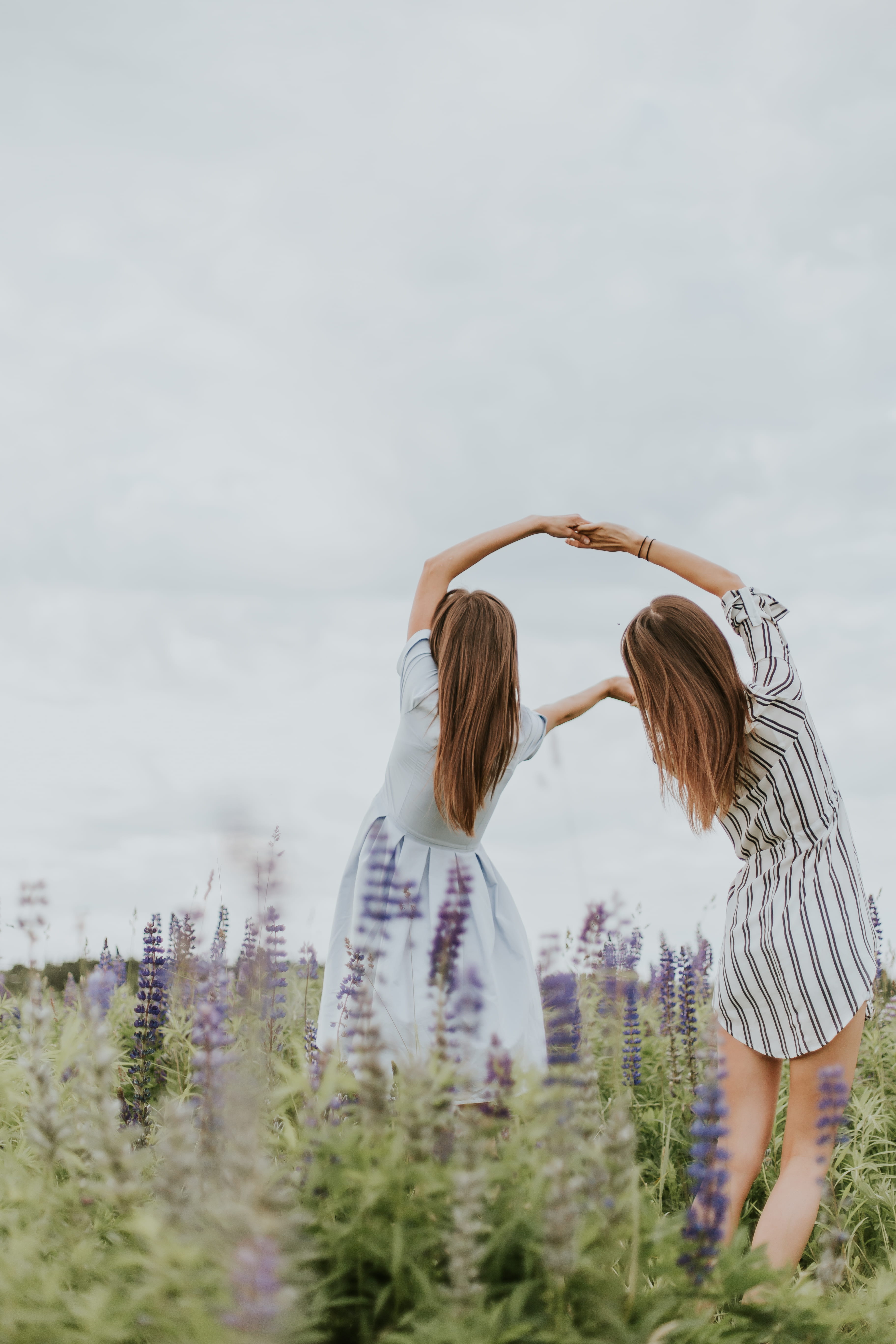 women, adult, friend, flowers, real people, have fun, field, sister, theier, sky, hands, meadow, 5K, petaled, holding, faceless, friendship, surrounded, Phone HD Wallpaper