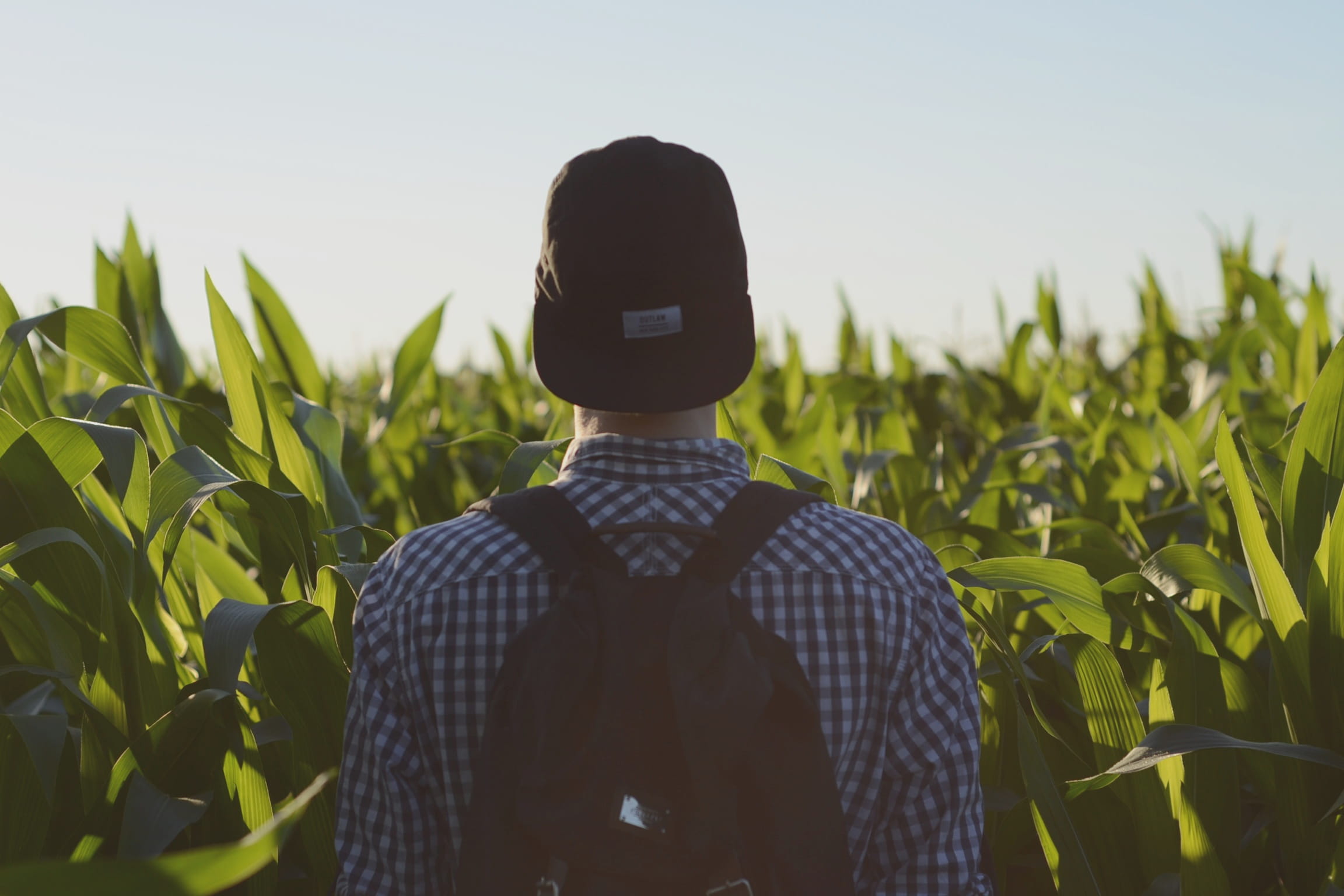 fashion, crop, sky, faceless, lifestyles, strap, male, foliage, corn, land, outdoors, rear view, agriculture, green color, landscape, backpack, green, real people, HD Wallpaper