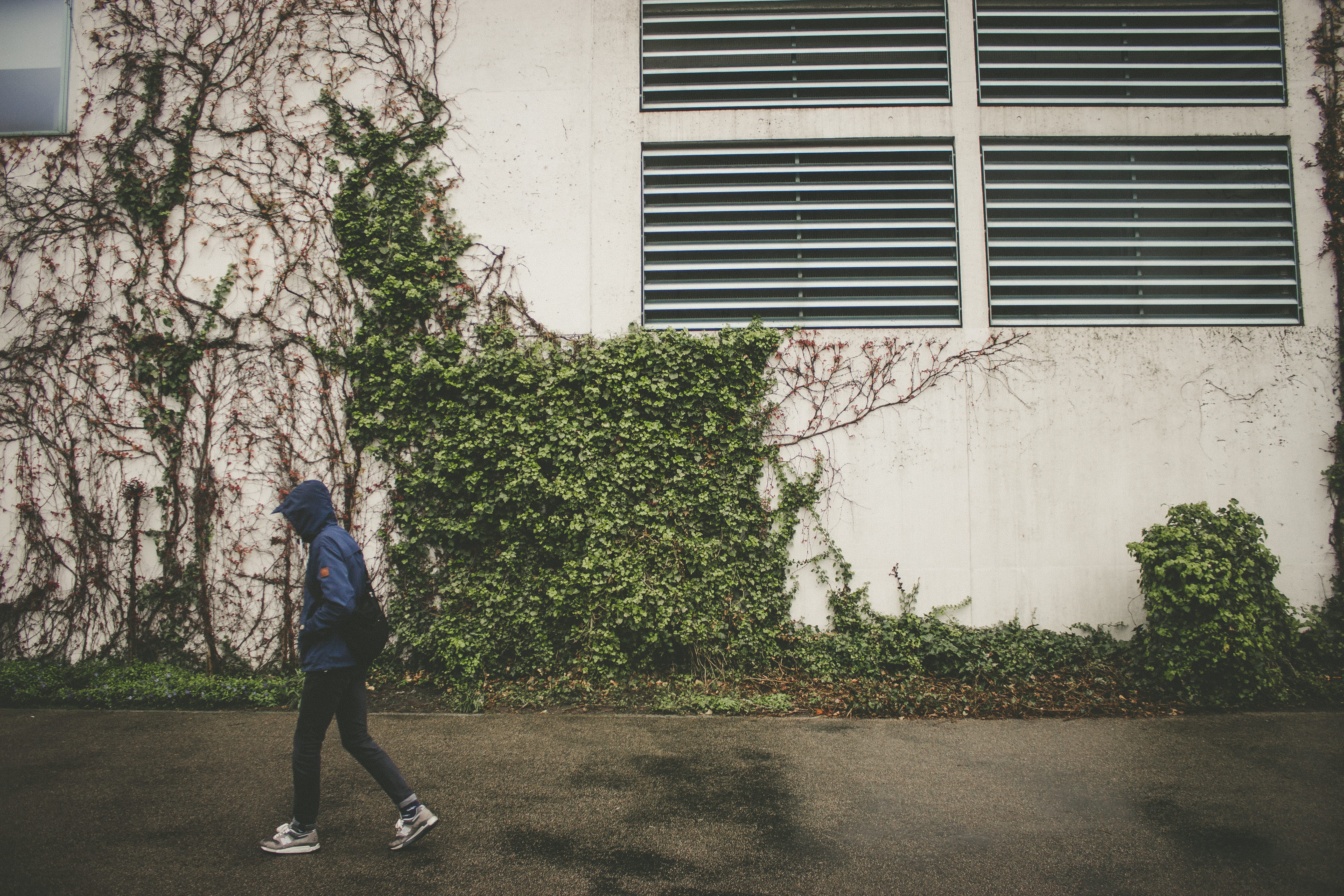 steps, 5K, germany, faceless, nature, lifestyles, architecture, women, standing, guy, no face, real people, casual clothing, wall, berlin, growth, footpath, HD Wallpaper