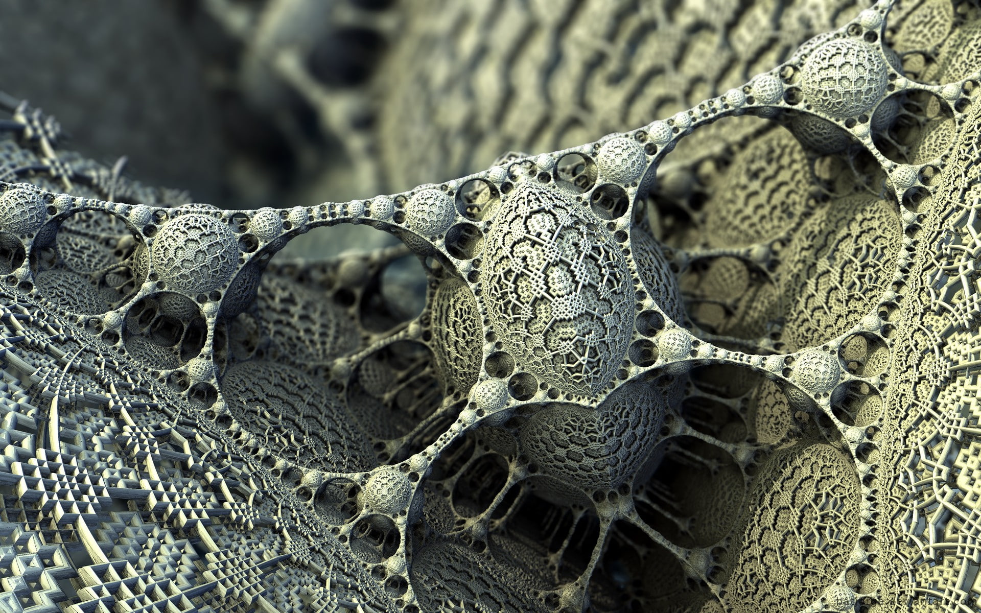animal themes, science, textured, magnification, textile, pattern, selective focus, backgrounds, simple, anatomy, focus on foreground, close-up, 1080P, HD Wallpaper