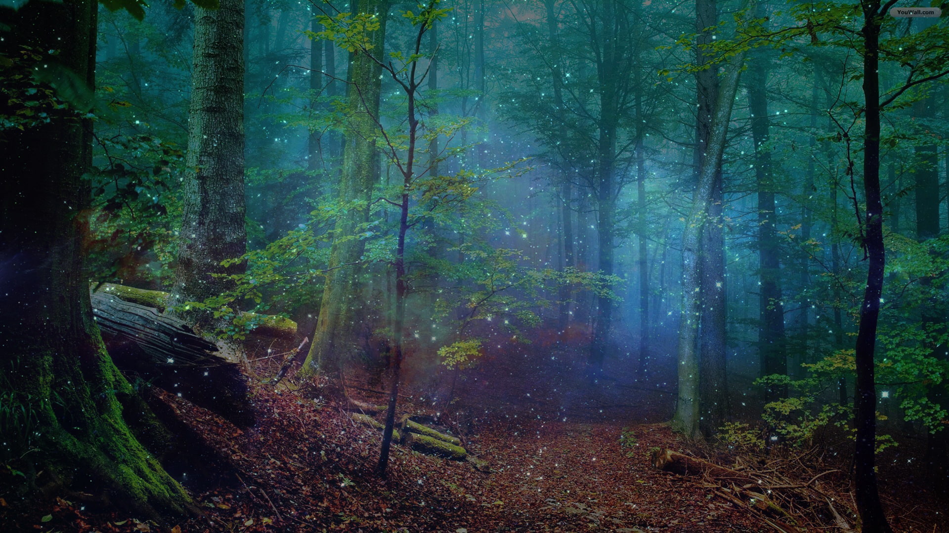 1080P, trees, 3D fractal, forest, HD Wallpaper