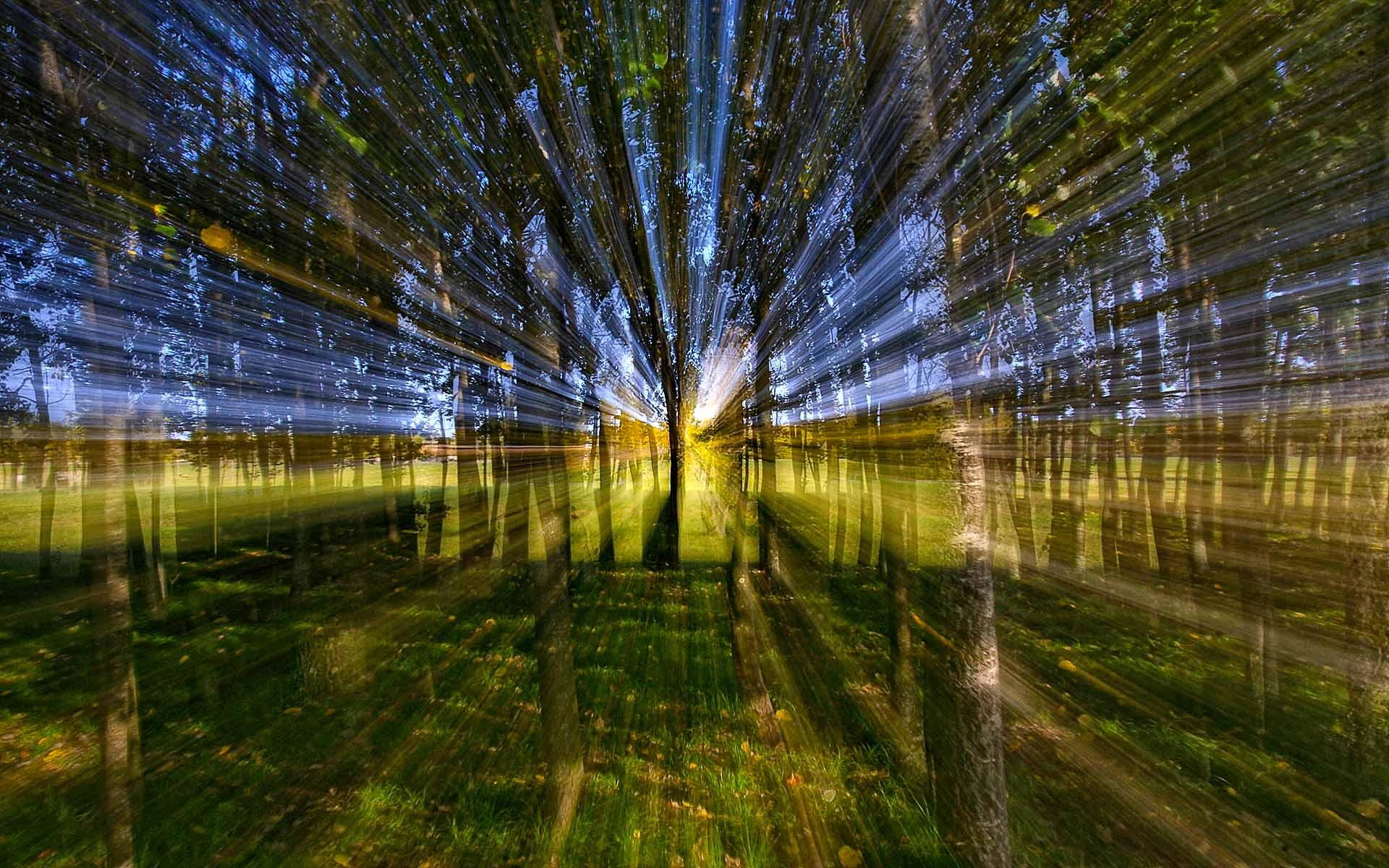 3d and abstract, light, abstract, 1080P, nature, energy, forest, HD Wallpaper
