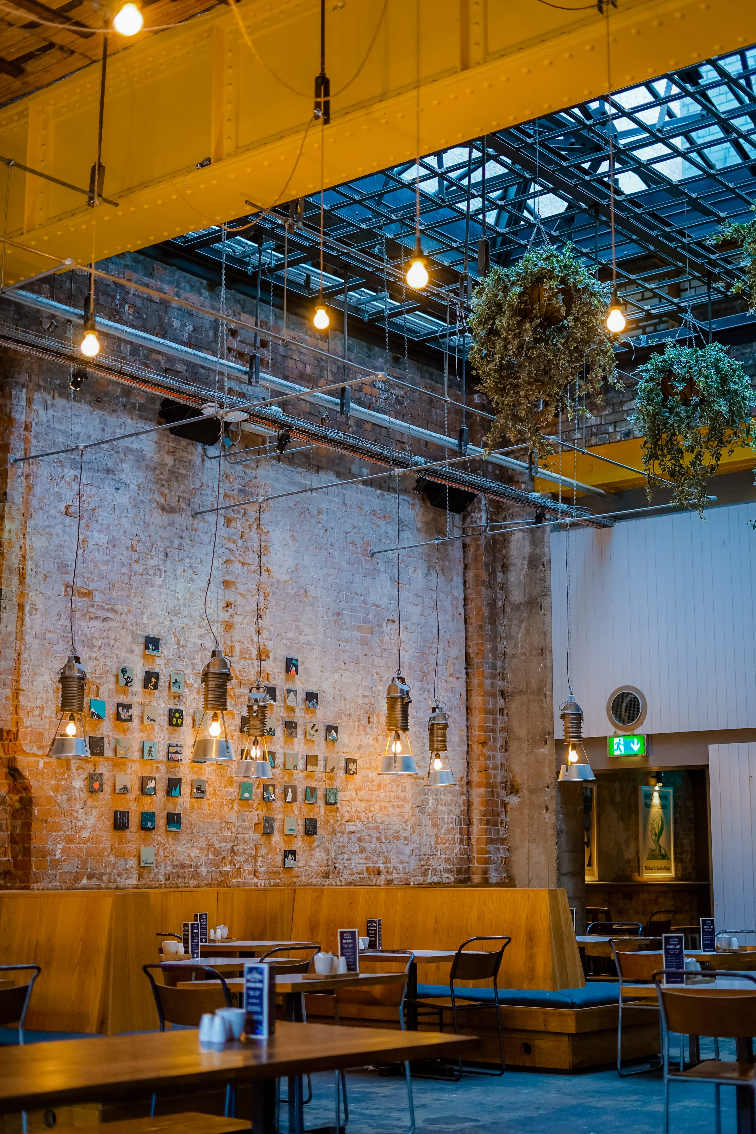 wall - building feature, built structure, modern interior, electric lamp, absence, modern, table, plant, lighting equipment, vine, bar, ceiling light, high ceiling, Phone HD Wallpaper