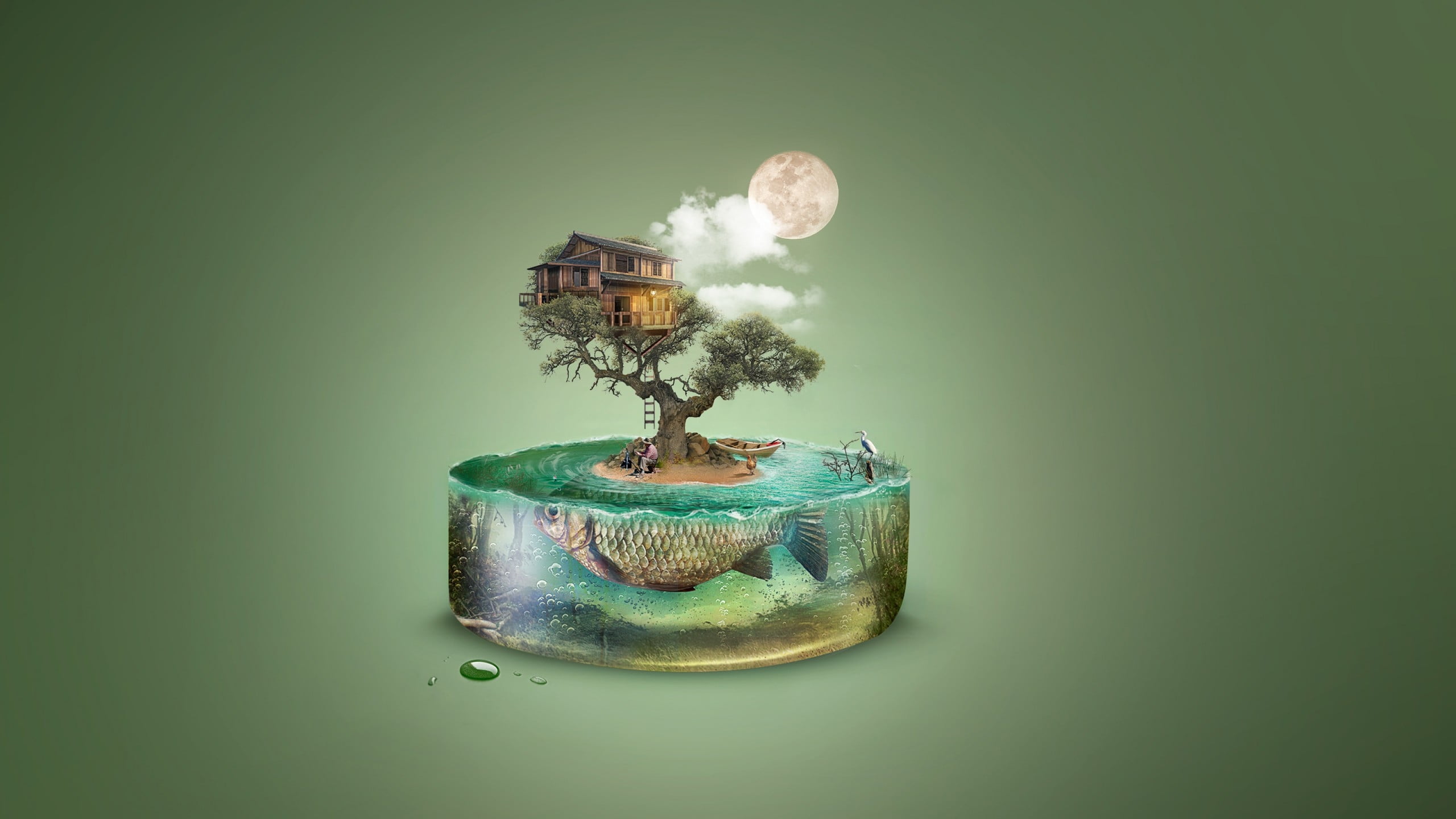 studio shot, green color, aqua, paper currency, dream, environmental issues, no people, 2K, fish, summer, fantasy, cloud, moon, indoors, vara, green background, HD Wallpaper