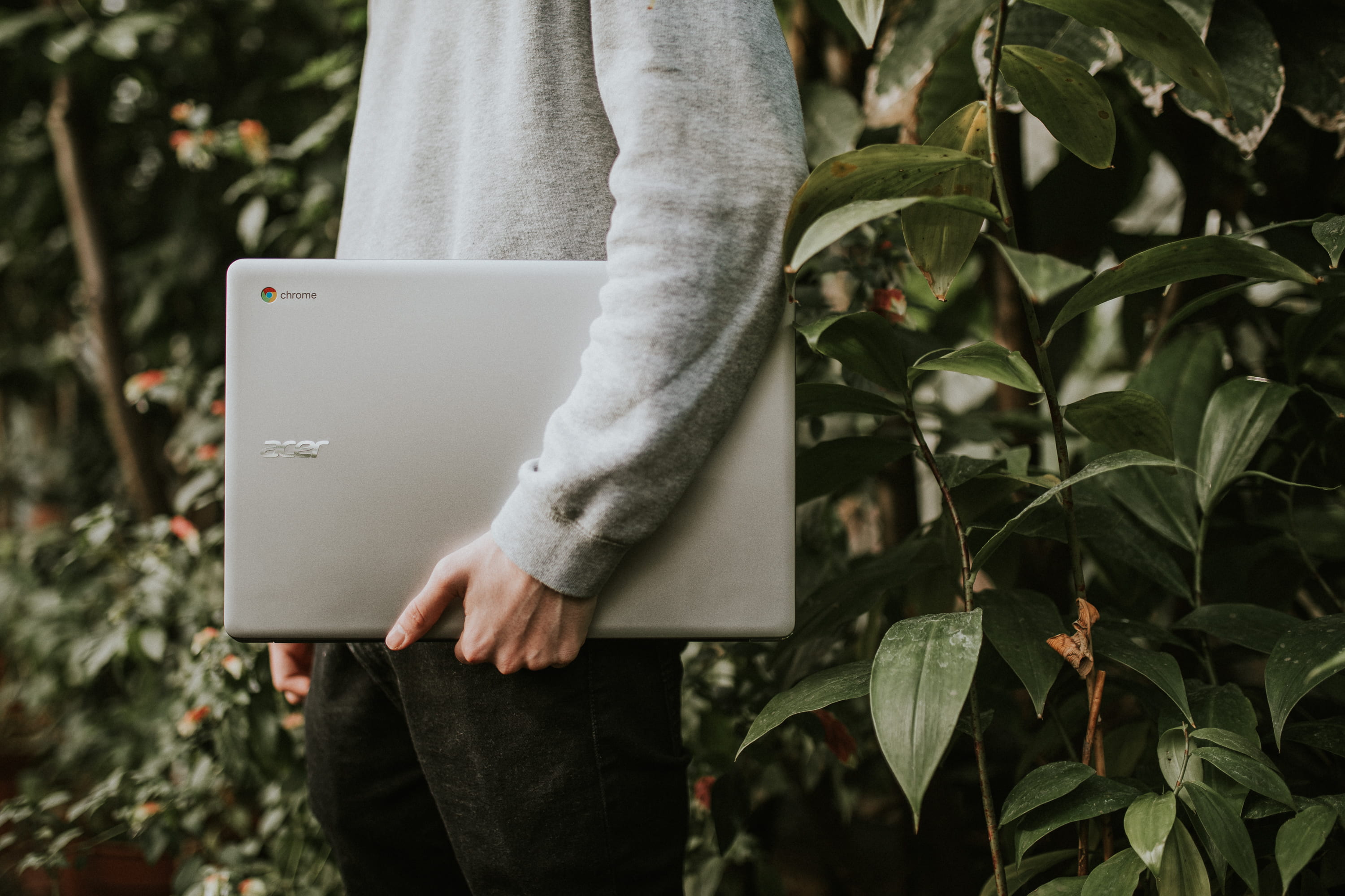 human hand, communication, standing, computer, tree, forest, sponsored, 2K, one person, growth, person, nature, human body part, outdoors, close-up, focus on foreground, HD Wallpaper