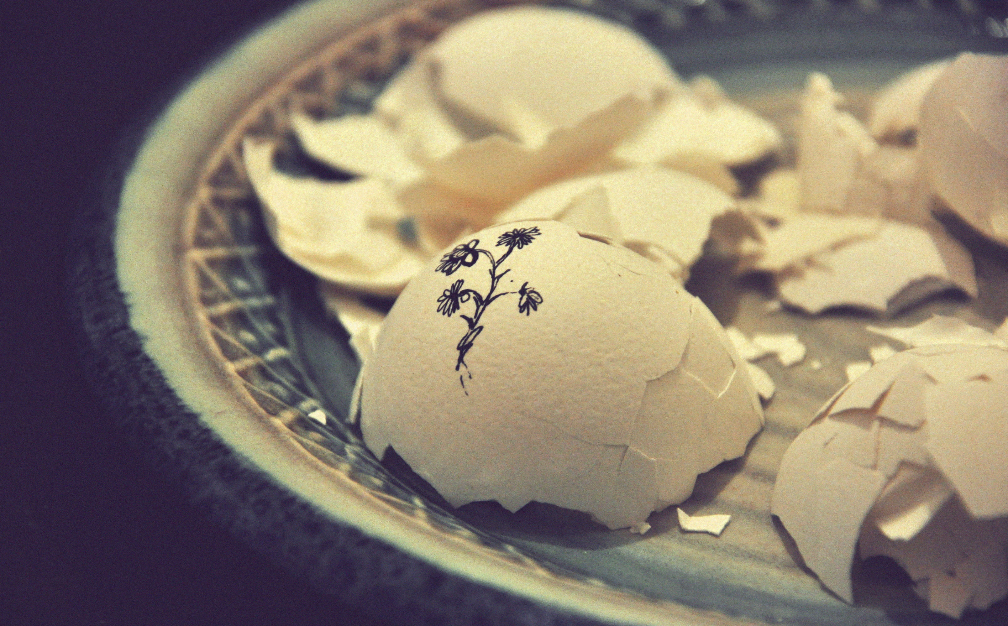 high angle view, shattered, food, chinese food, egg, emotion, flower, sphere, egg paint, eggs, broken, fortune telling, paper, indoors, cookie, art, freshness, HD Wallpaper