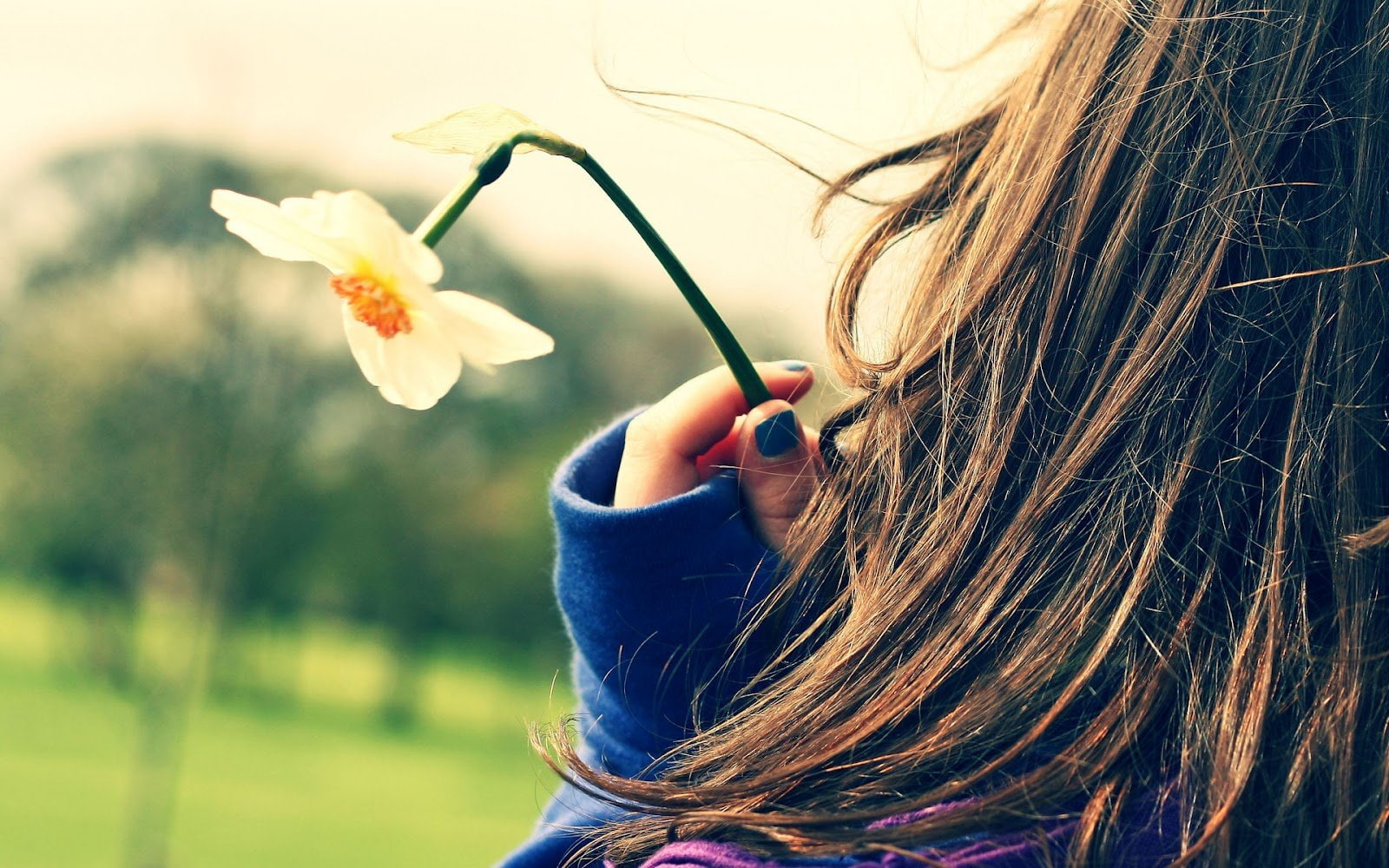 broken, flower, 720P, mood, hair, girl, HD Wallpaper