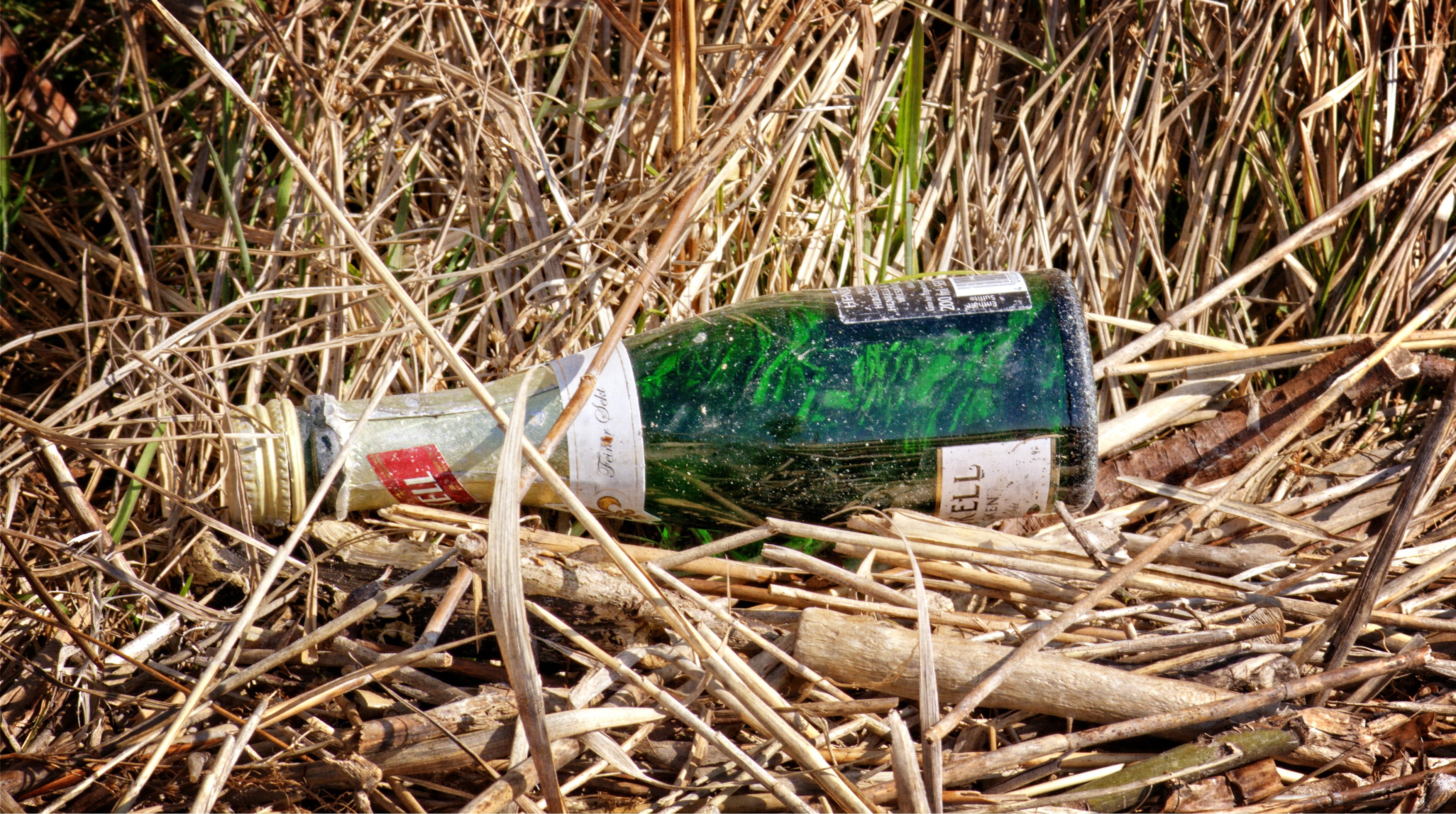 bottles, field, throw away society, container, environmental issues, land, environment, obsolete, grass, wood - material, day, dry, outdoors, run-down, HD Wallpaper