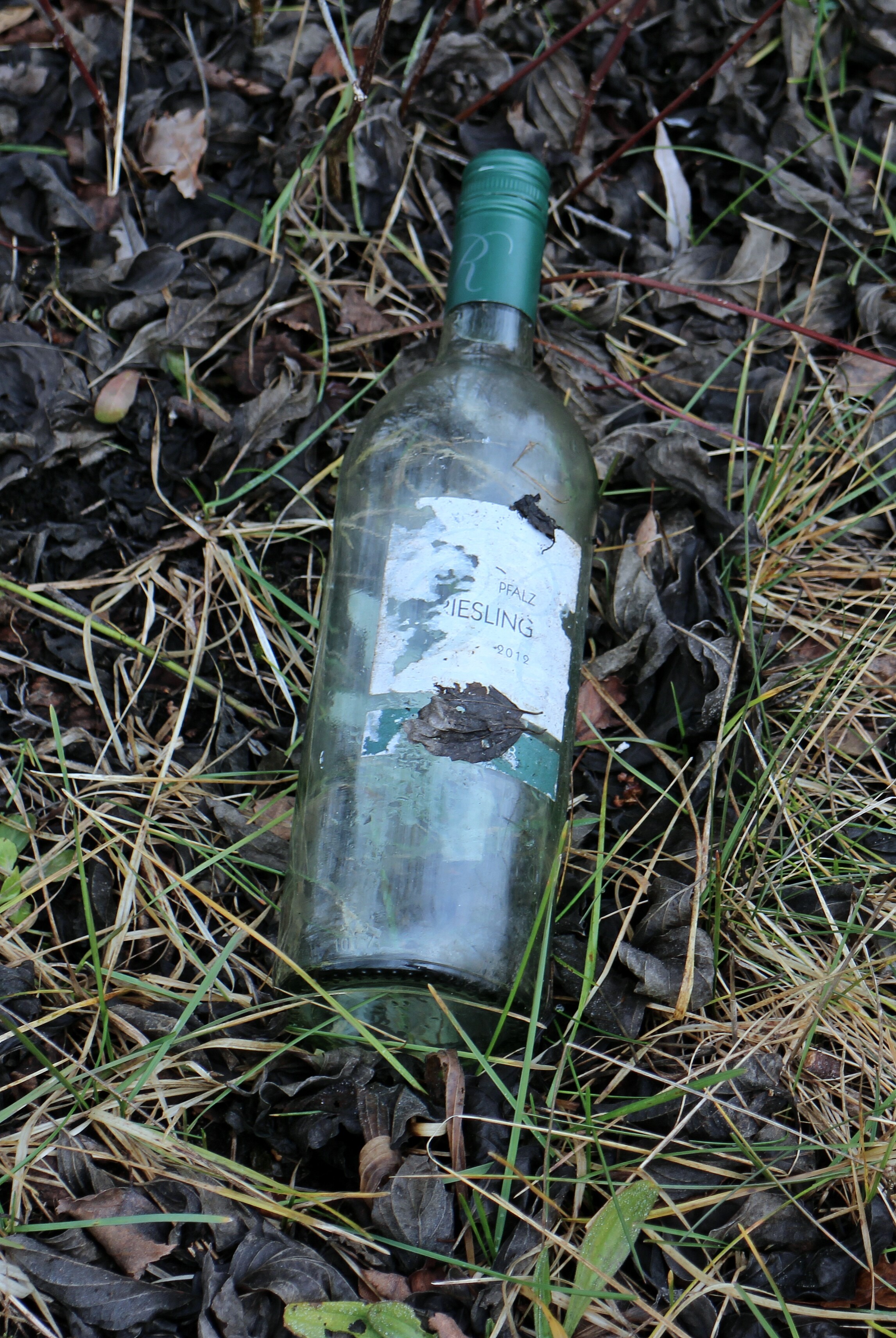 celebrate, plant, throw, abandoned, camping, recycled glass, wine, no people, container, pollution, messy, waste, bottles, dry, outdoors, forest, single object, Phone HD Wallpaper