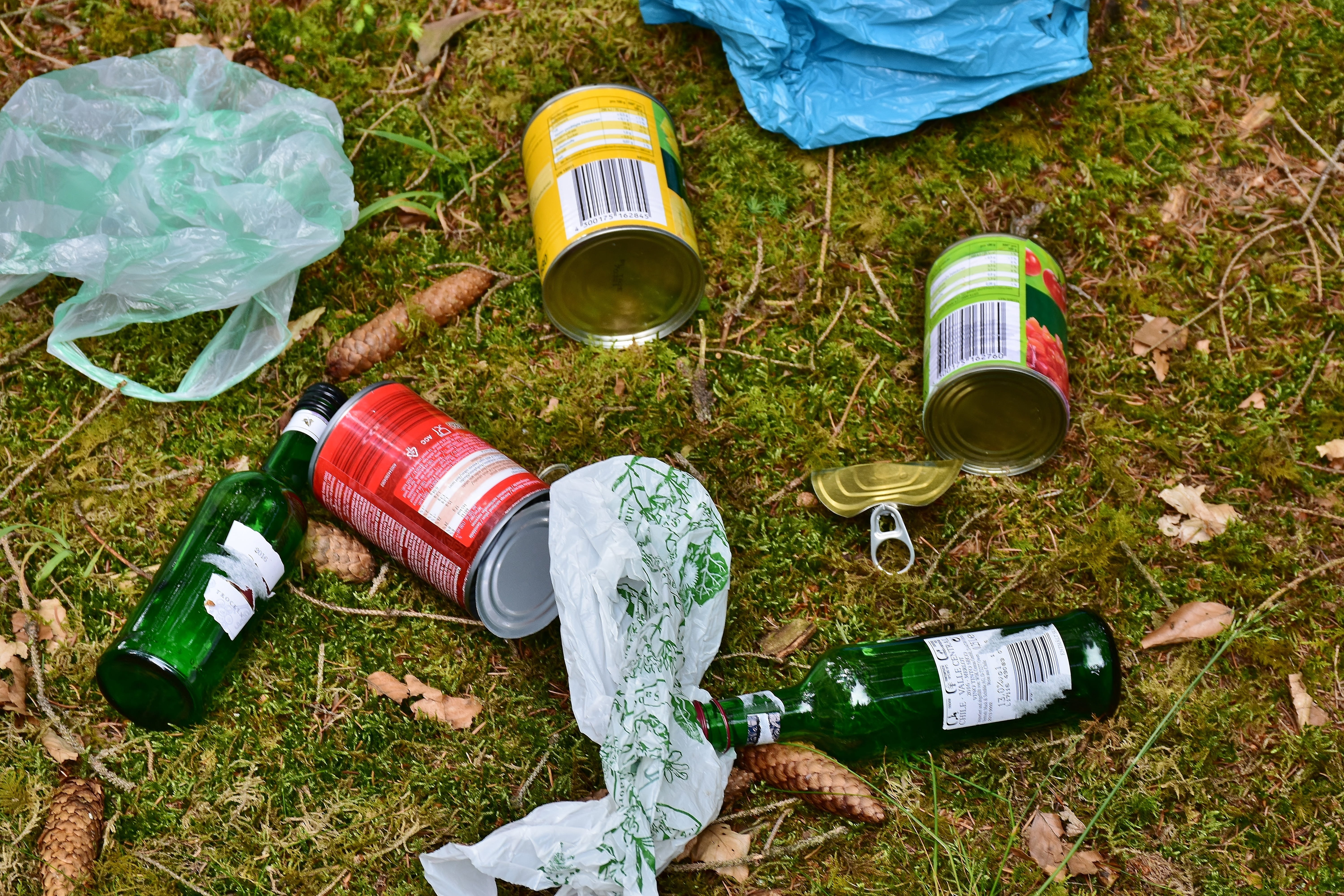 reuse, green color, container, nature, non recyclable waste, Garbage, bottle, land, throw away society, day, forest, food and drink, recycling, drink, littering, HD Wallpaper