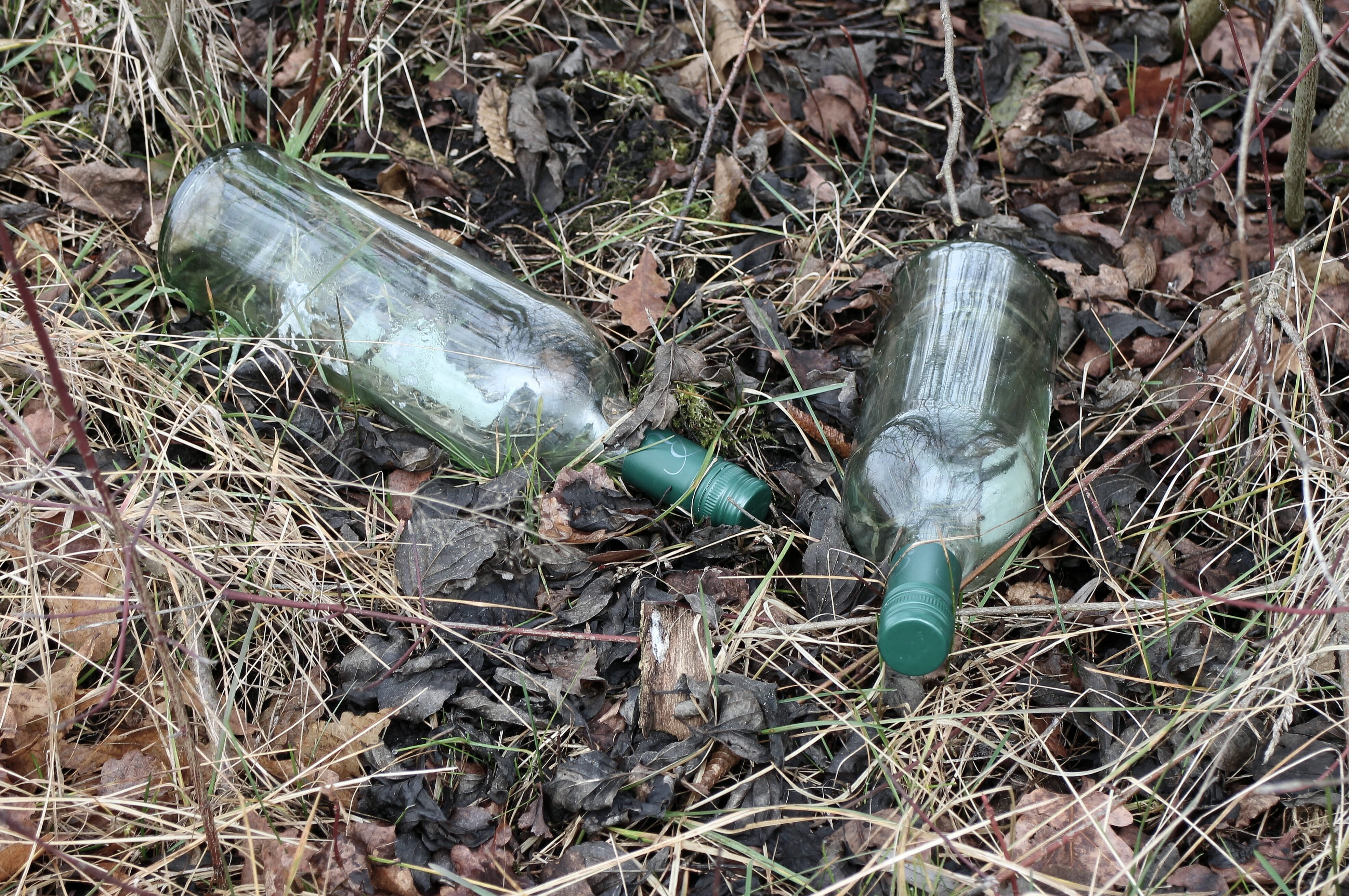 no people, alcohol, waste, land, throw, glass - material, outdoors, made, pollution, plant, grass, Bottle, abandoned, plant part, beverages, field, leaf, HD Wallpaper