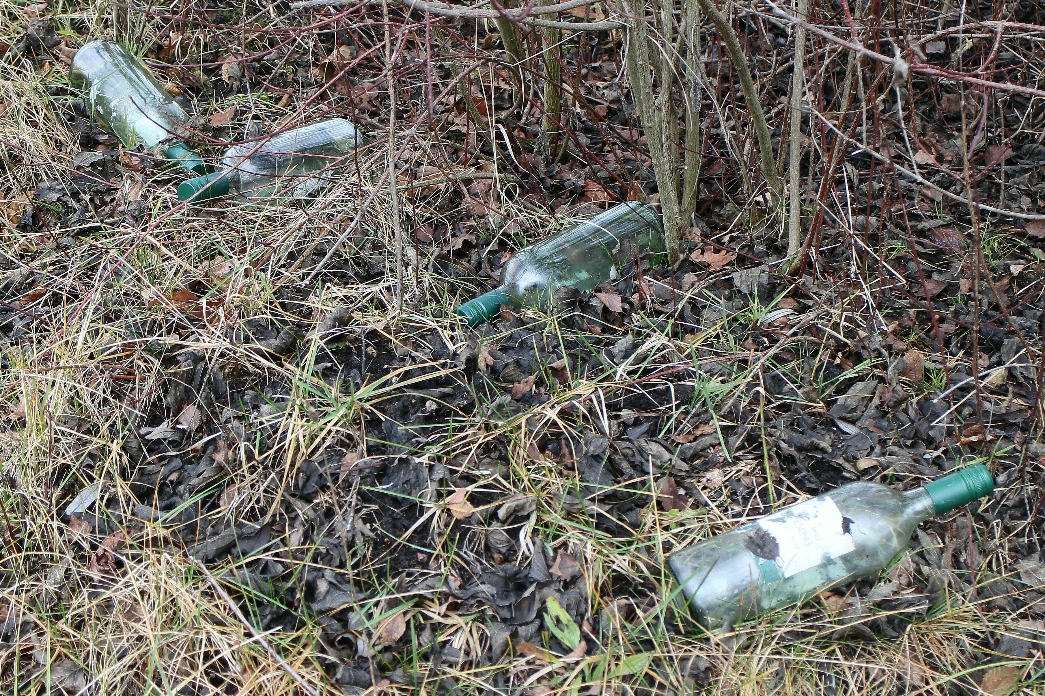 alcohol, land, growth, vertebrate, no people, obsolete, throw away society, pollution, disposal, environmental issues, Garbage, waste disposal, high angle view, HD Wallpaper