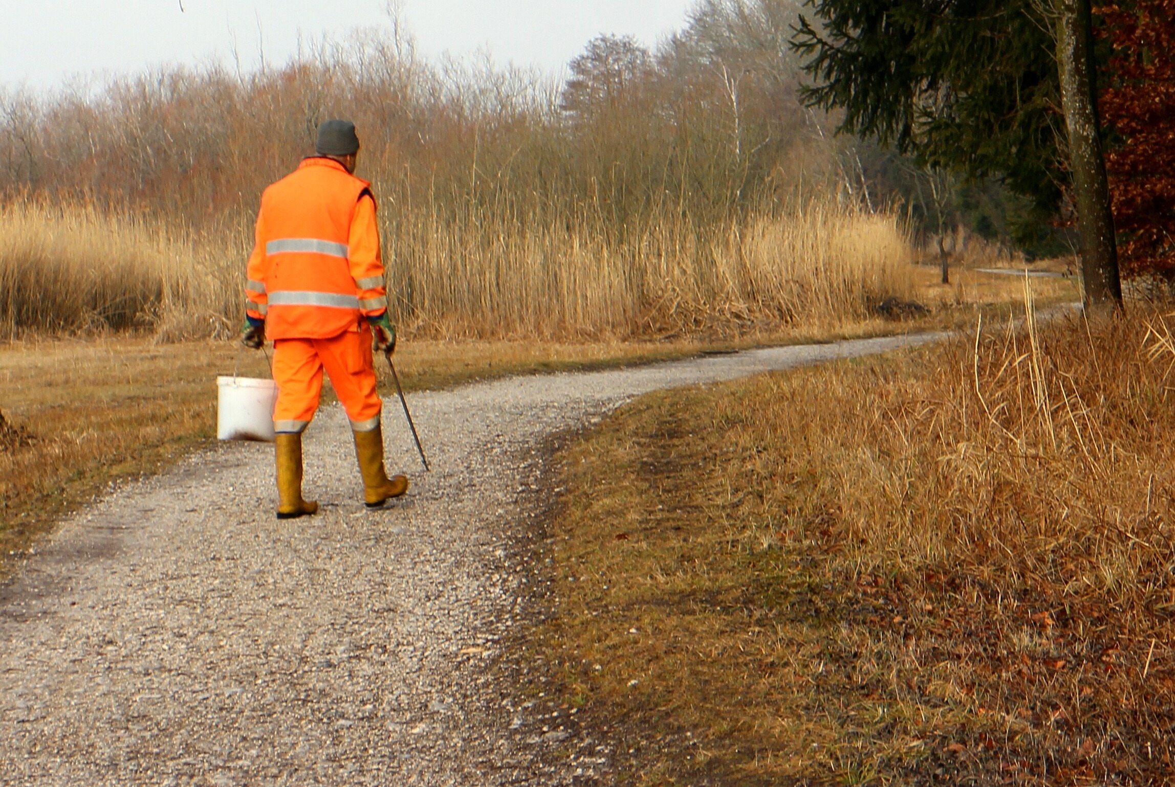 working, plant, environmental protection, man, on the side of the road, nature, day, one person, collect, white, environment, road, work, recycling, beside, HD Wallpaper