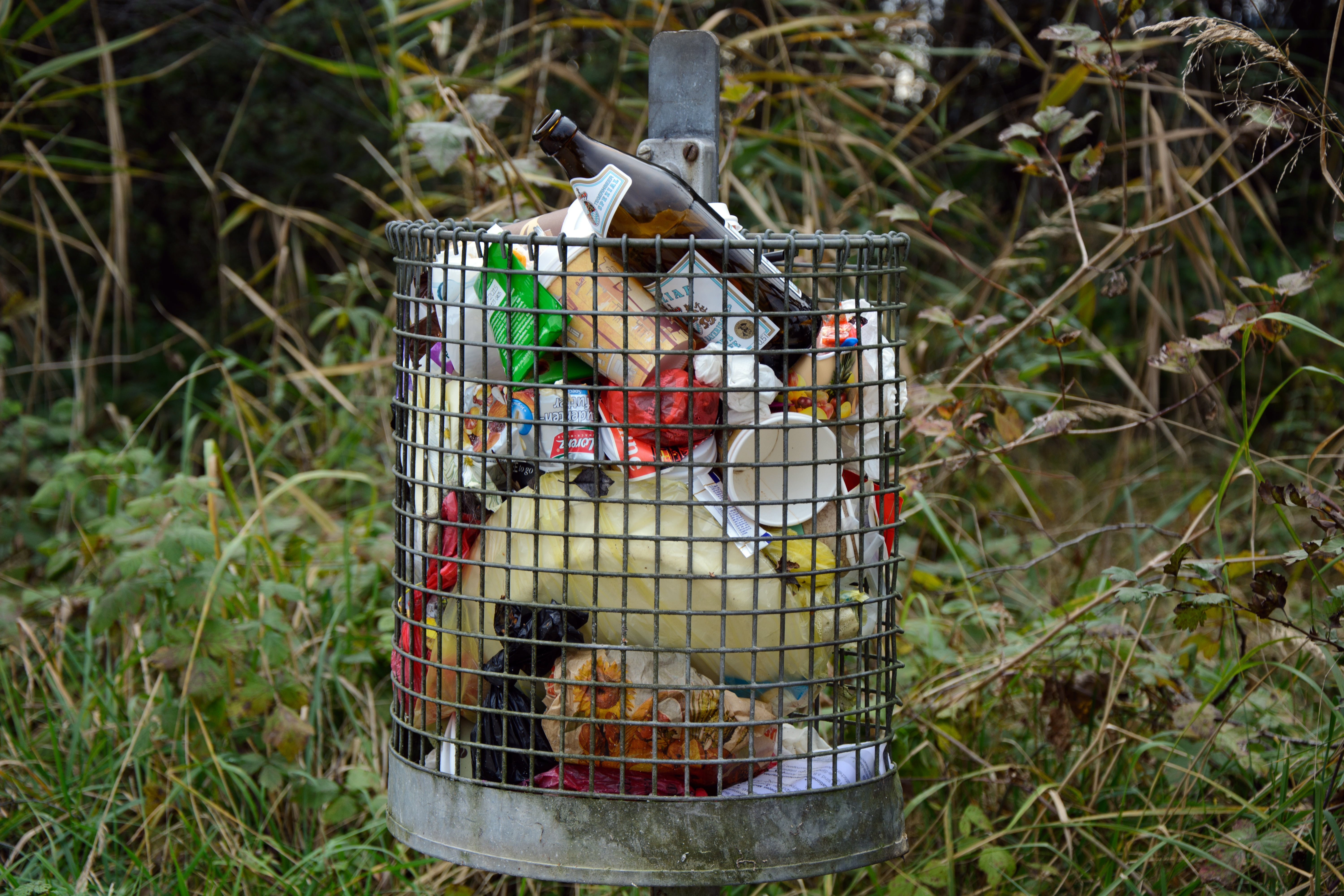 metal, waste container, garbage can, disposal, container, nature, household waste, cage, throw away society, animal wildlife, bird, waste basket, plant, HD Wallpaper
