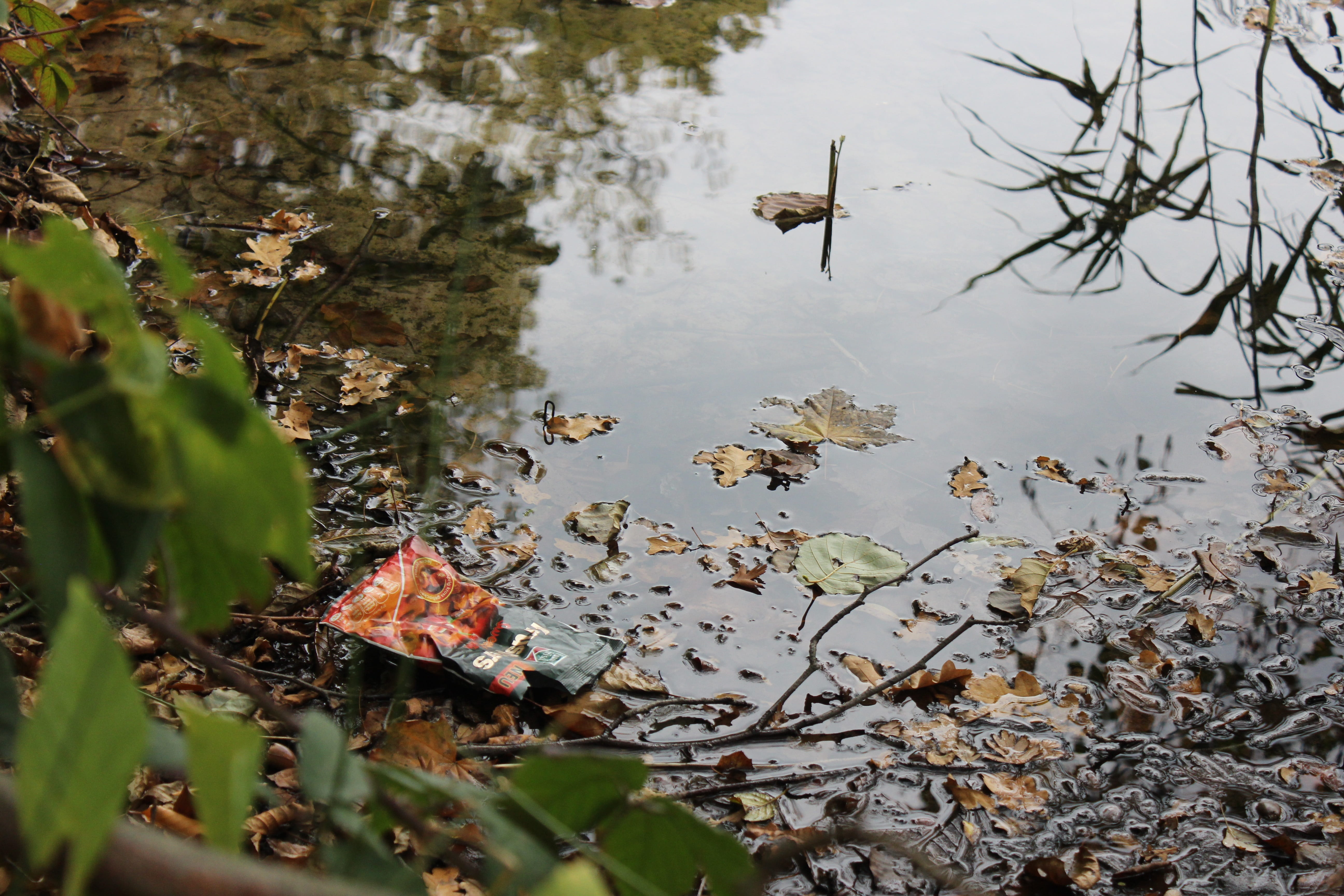 leaves, littering, no people, floating on water, plastic, day, plant, water, chip bag, animal wildlife, waste, plant part, high angle view, leaf, tree, HD Wallpaper