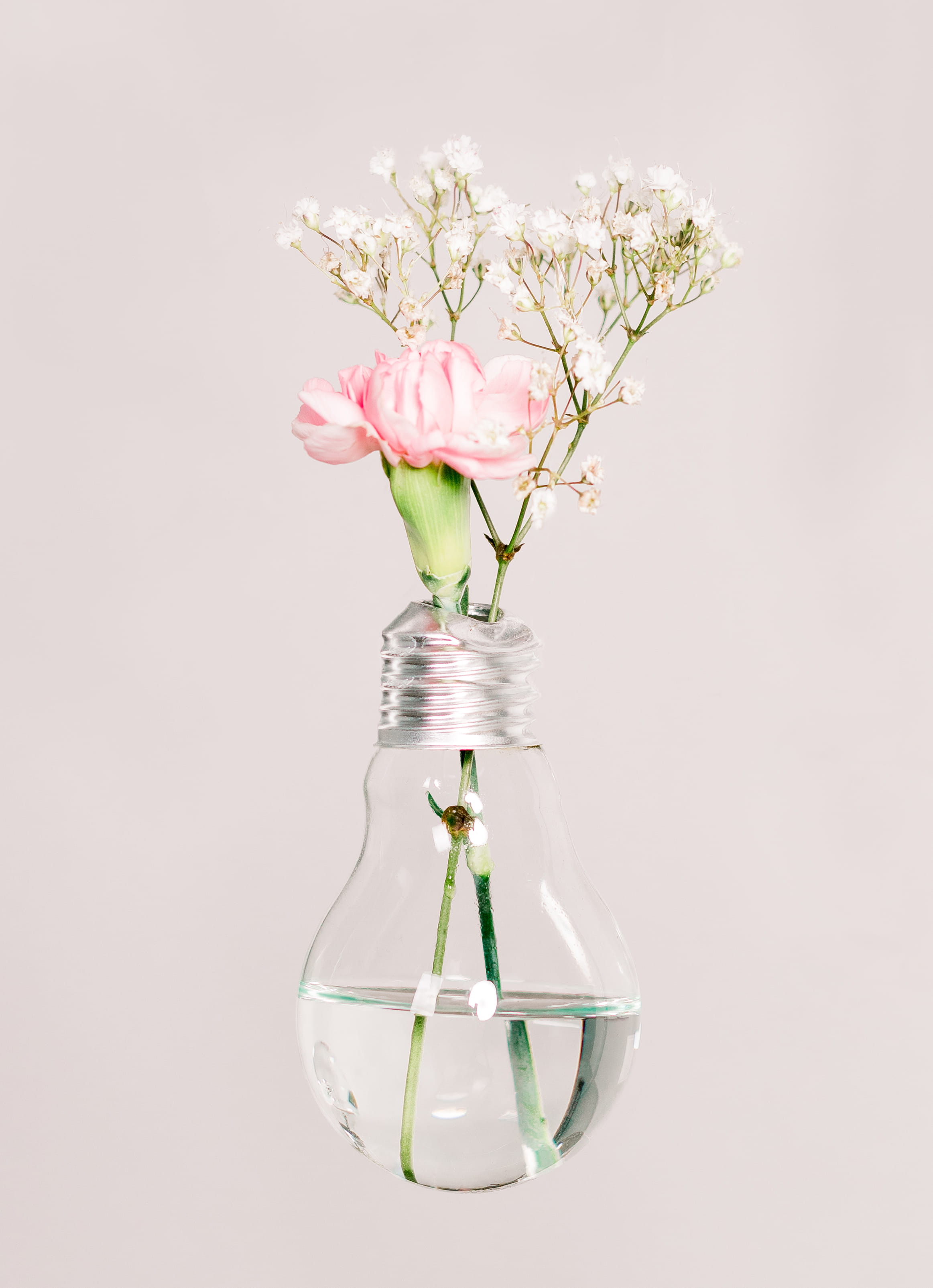 jar, season, arrangement, elegance, blossom, ornate, close-up, bouquet, freshness, flower, gift, led, studio light, plant, backgrounds, vase, pink, tulip, Phone HD Wallpaper