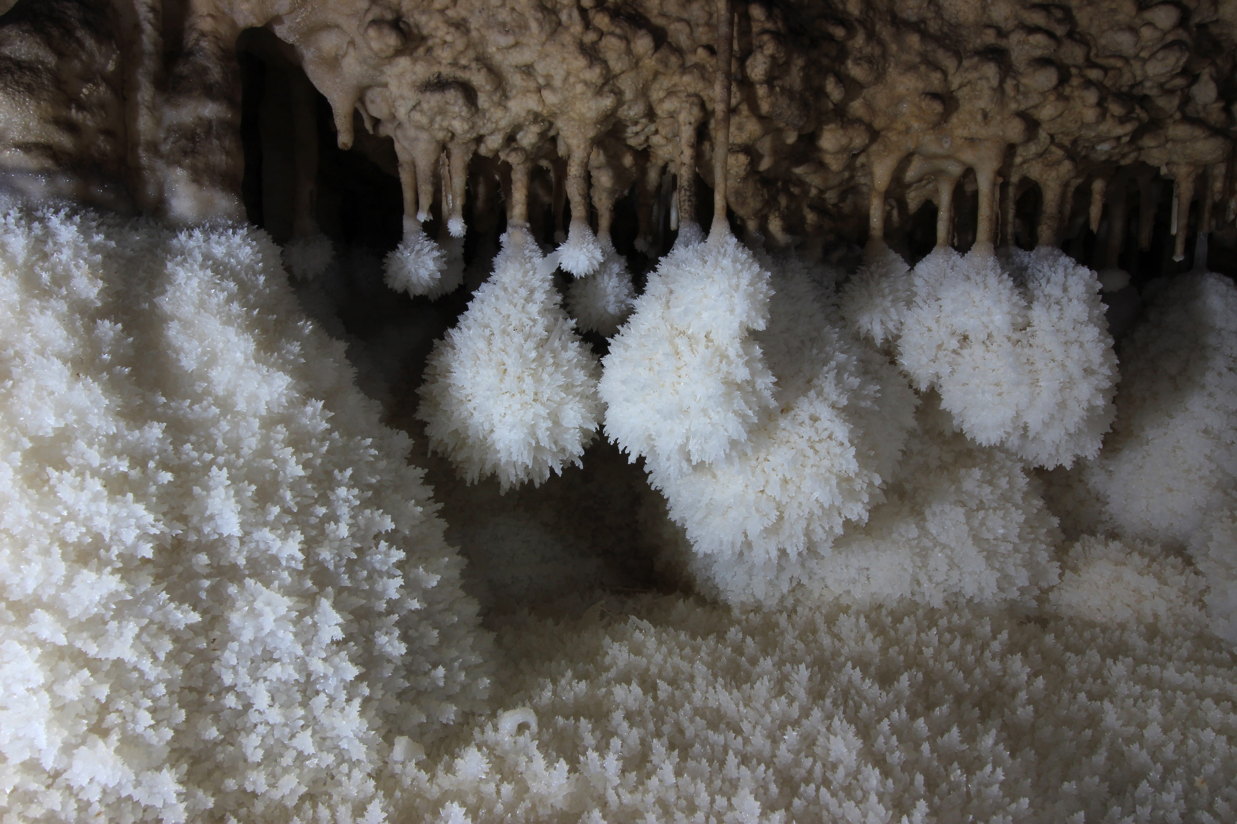 winter, 5K, frost, white color, outdoors, tranquility, ice, cave, icicle, potholing, stalactite, no people, plant, day, snow, close-up, beauty in nature, HD Wallpaper