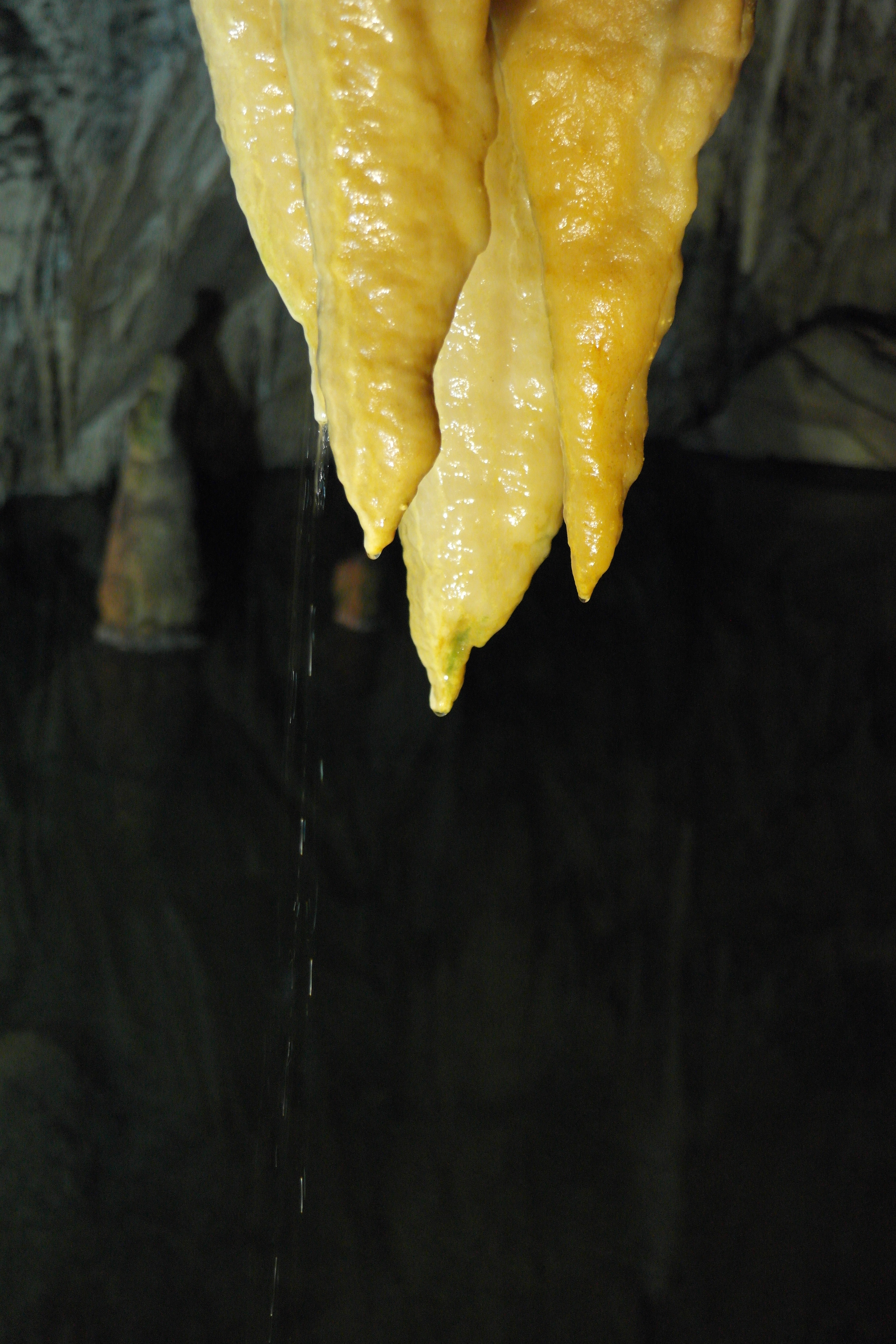 nature, close-up, 5K, underground, wet, indoors, vulnerability, no people, food and drink, fragility, yellow, hanging, drop, melting, wellbeing, stalactite, Phone HD Wallpaper