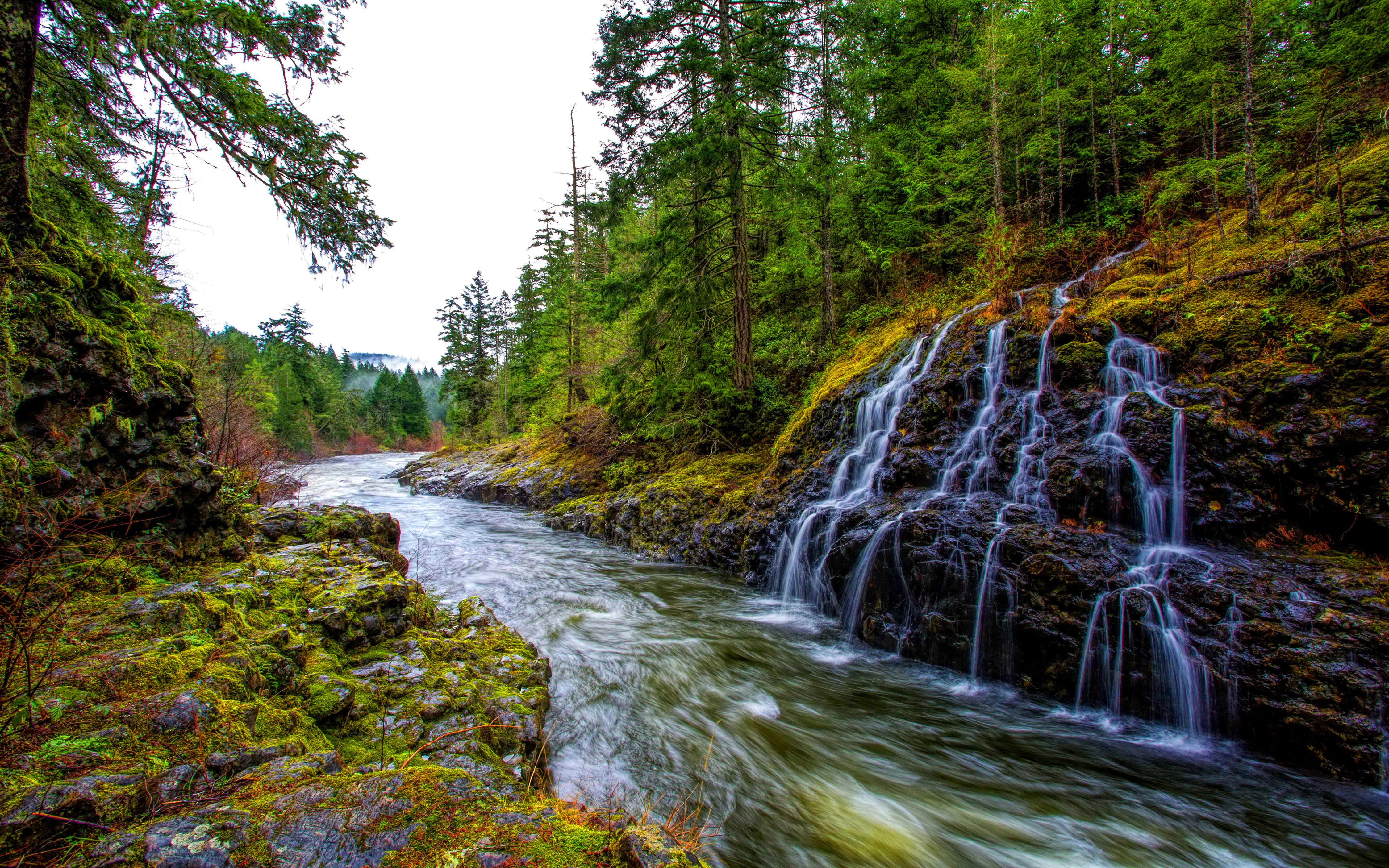 land, water, forest, power in nature, potholes, growth, stream - flowing water, day, tranquility, vancouver, canada, flowing water, nature, blurred motion, HD Wallpaper