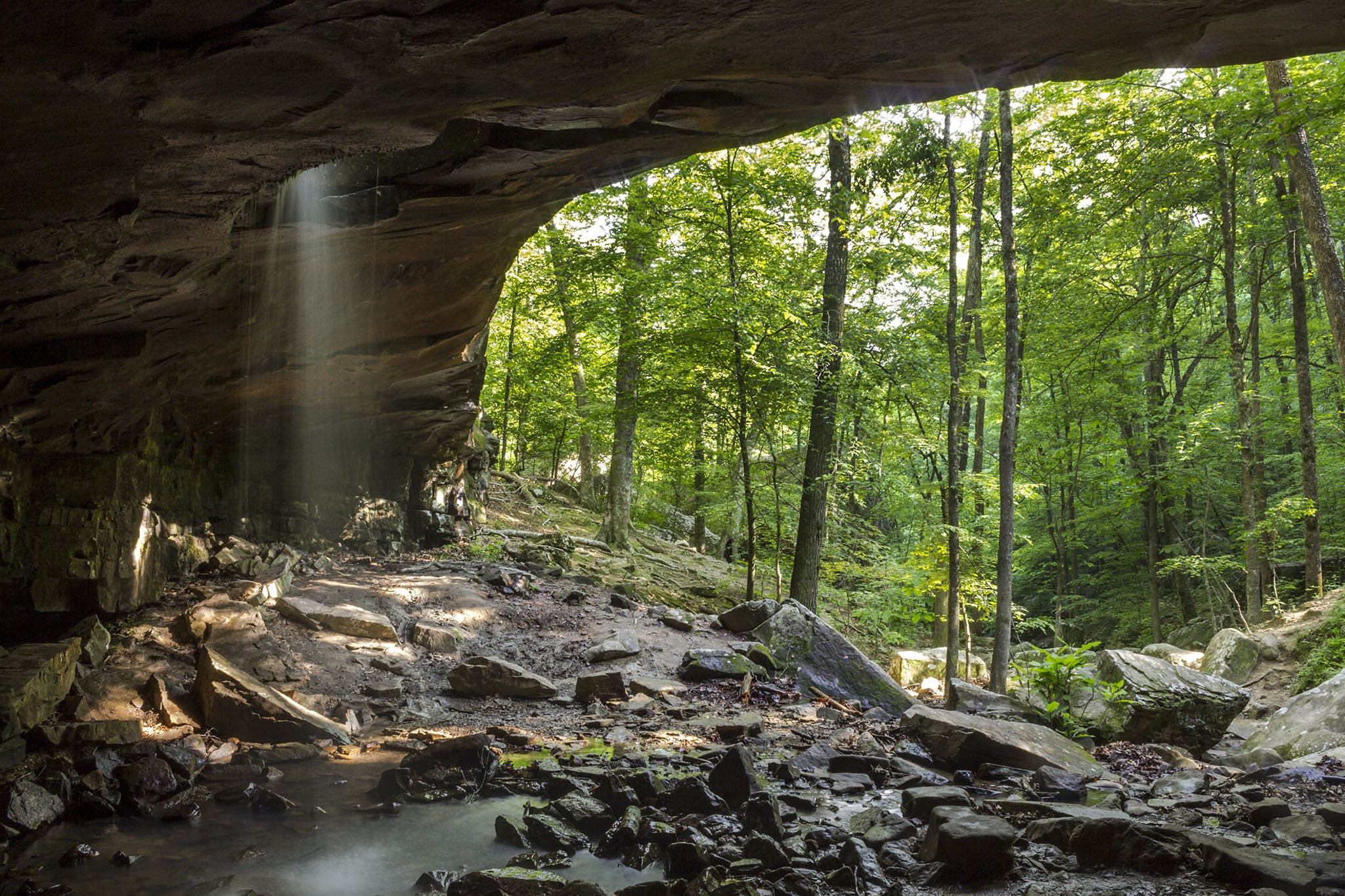 trees, forest, water, landscape, cave, 1080P, nature, stones, rock, HD Wallpaper