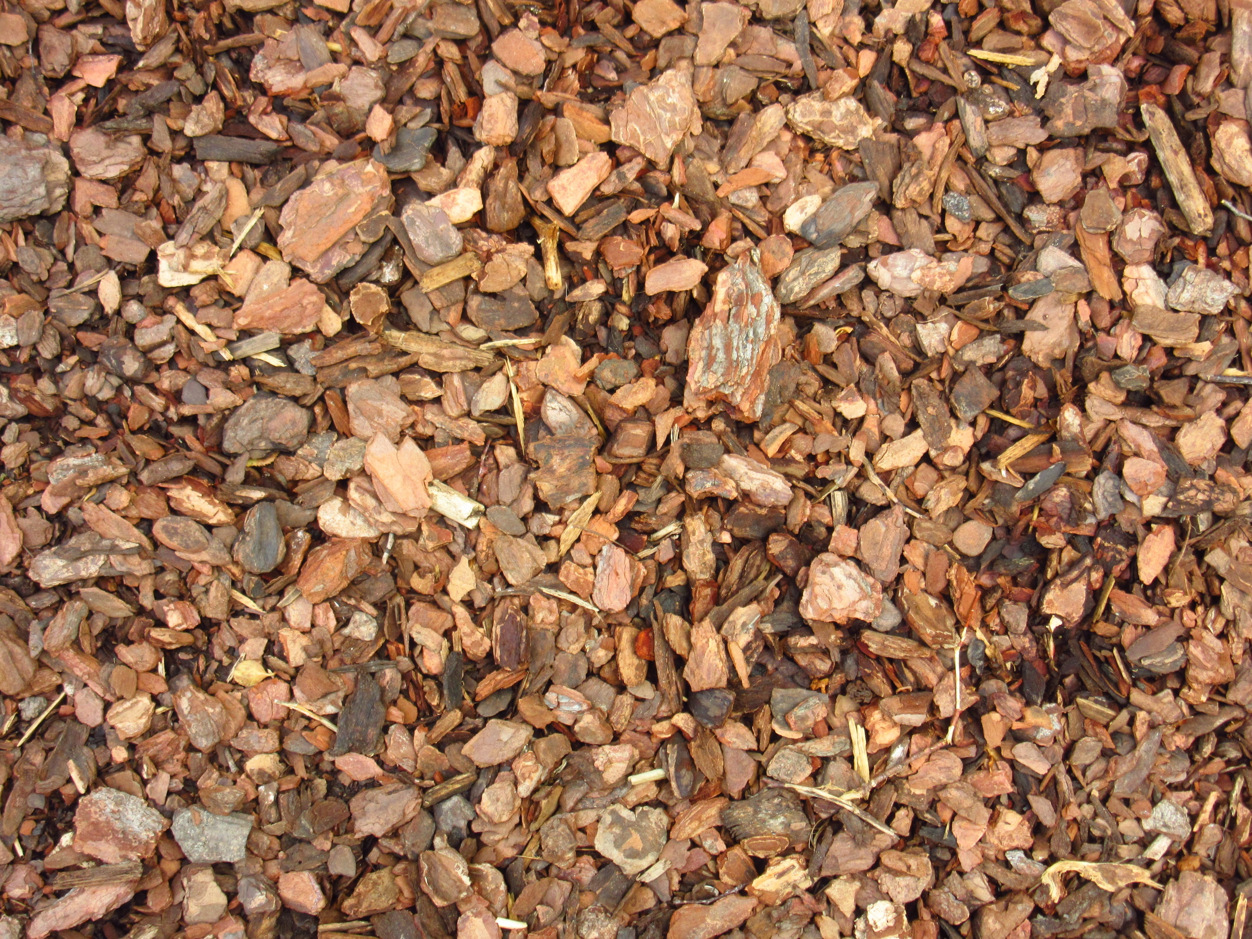 lot, abundance, close-up, outdoors, texture, textured, leaf, chips, nature, wood, plant part, leaves, full frame, dry, backgrounds, autumn, directly above, HD Wallpaper