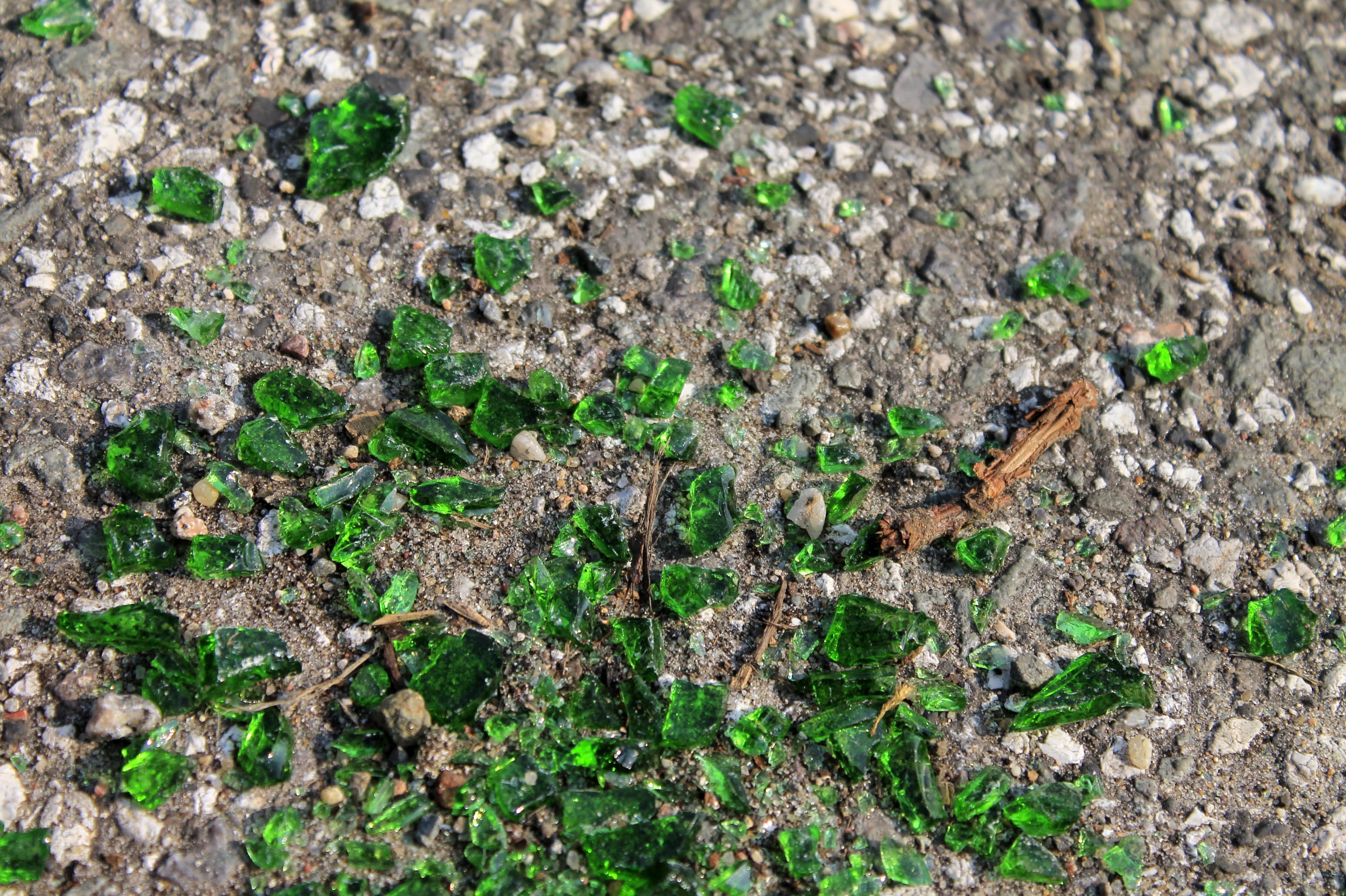 growth, insect, no people, splitter, nature, close-up, outdoors, field, solid, leaf, textured, plant, high angle view, full frame, broken, land, selective focus, HD Wallpaper