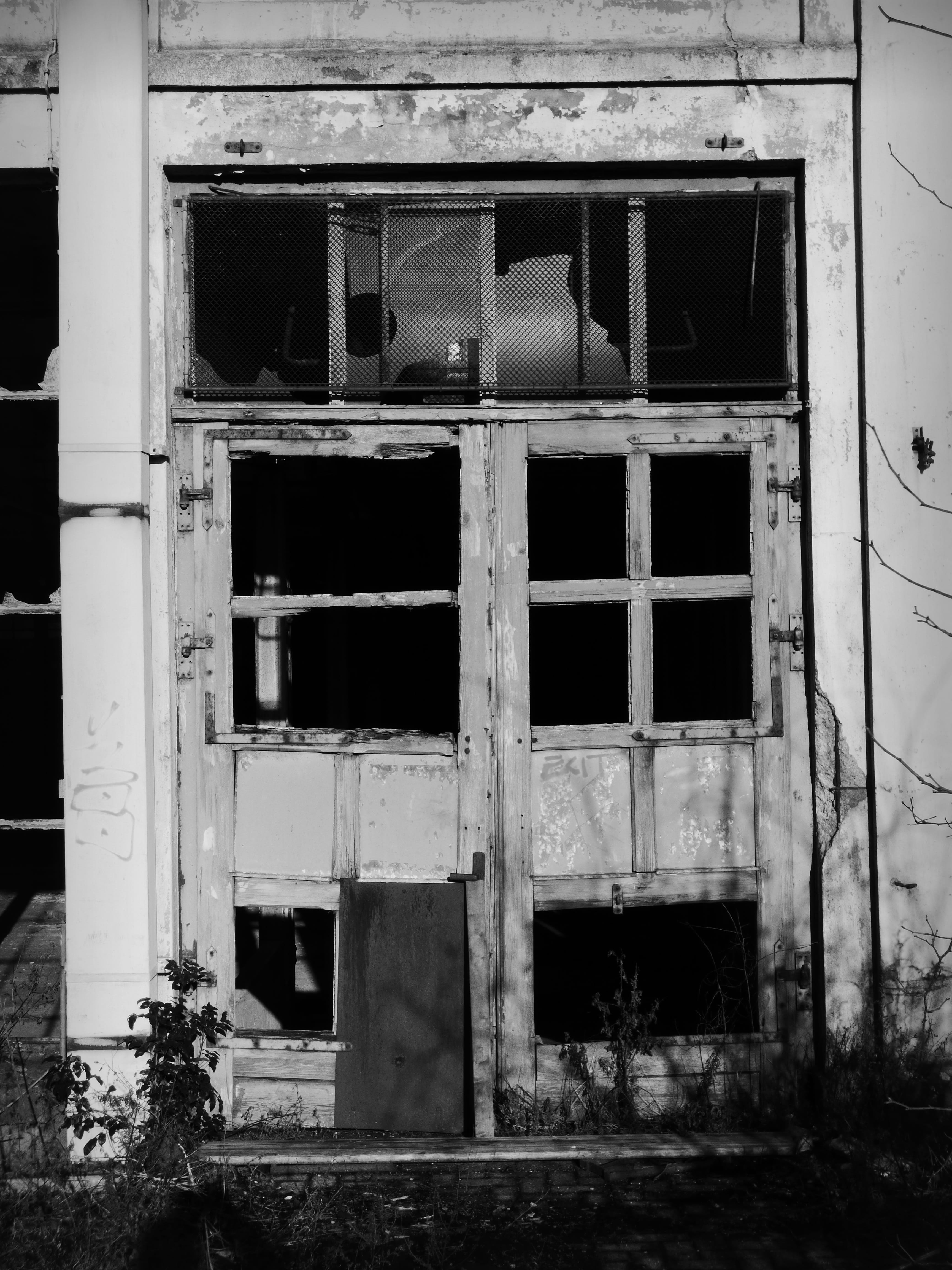 decay, Splitter, ruined, Door, built structure, input range, run-down, day, destruction, lost places, Glass, weathered, industry, decline, no people, outdoors, Phone HD Wallpaper