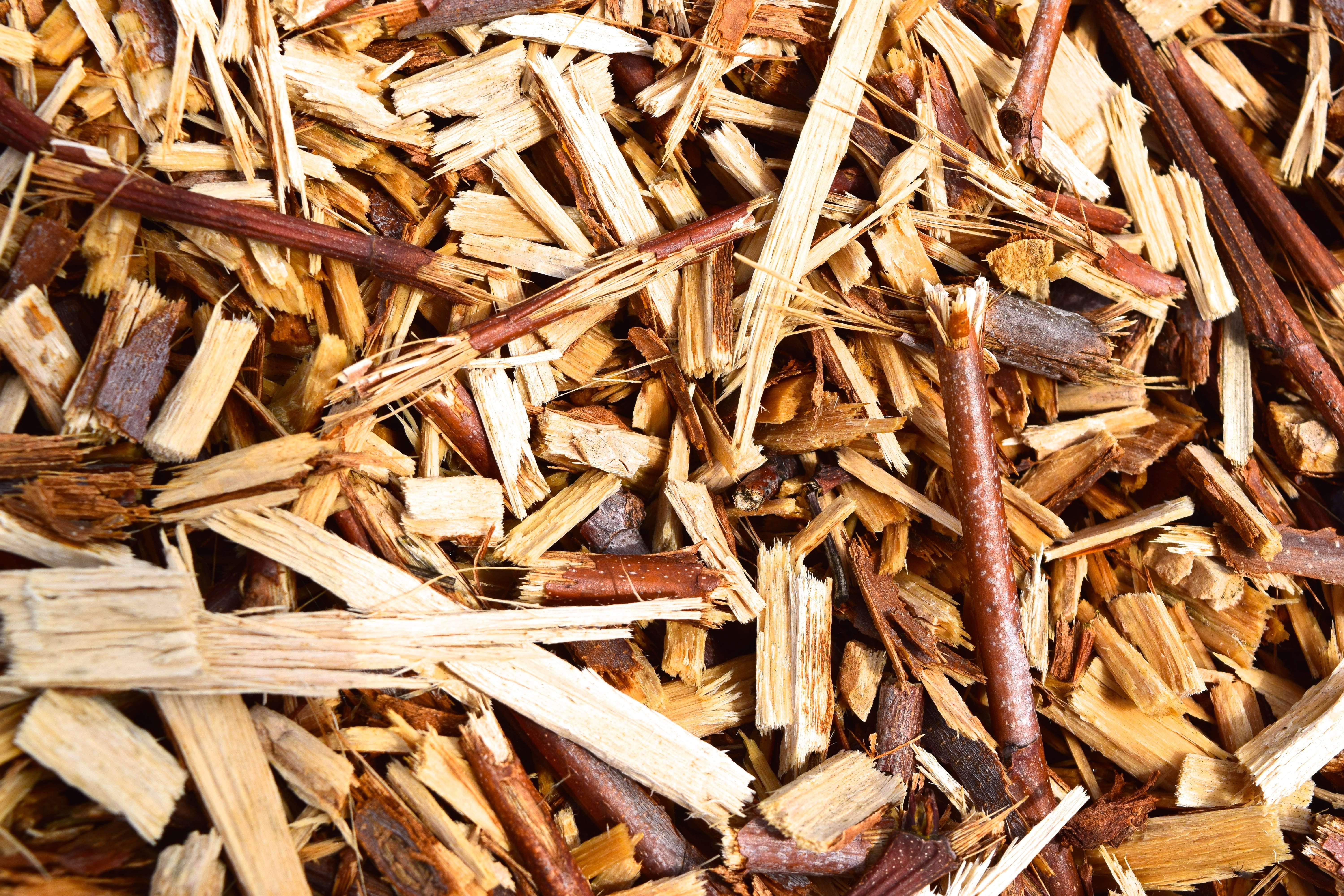 snippets, crushed, stick - plant part, plant, wood wedges, wood, high angle view, lumber industry, wood rasp, log, abundance, splitter, backgrounds, wood chips, HD Wallpaper
